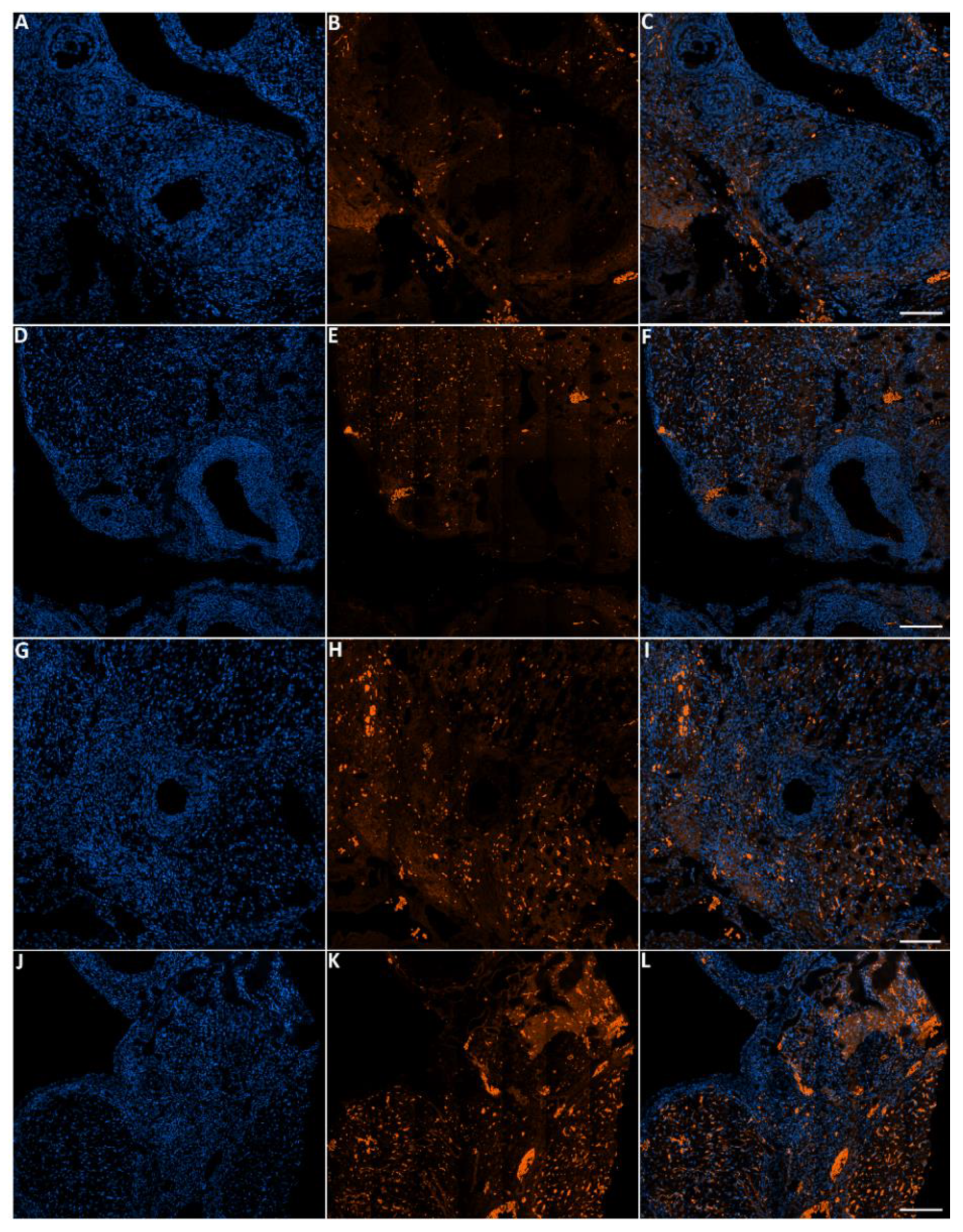 Biology 10 01153 g009 Biology 10 01153 g009