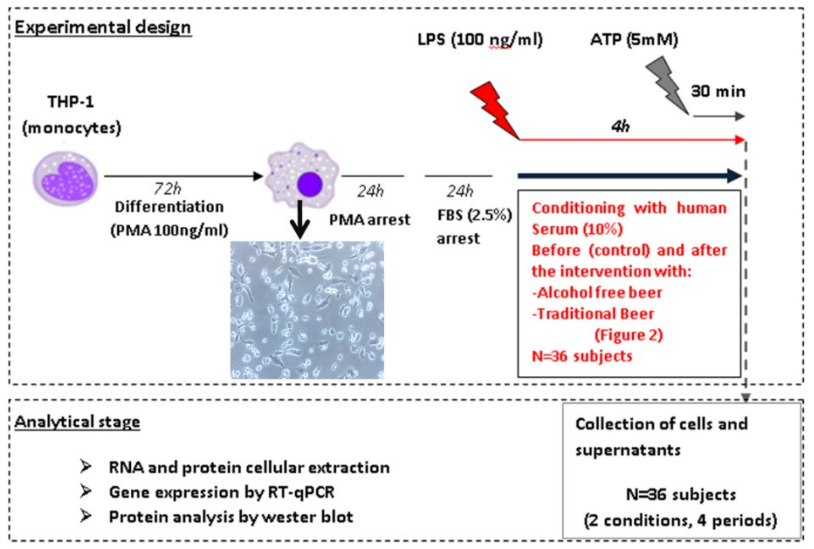 Biology 10 01159 g002 550