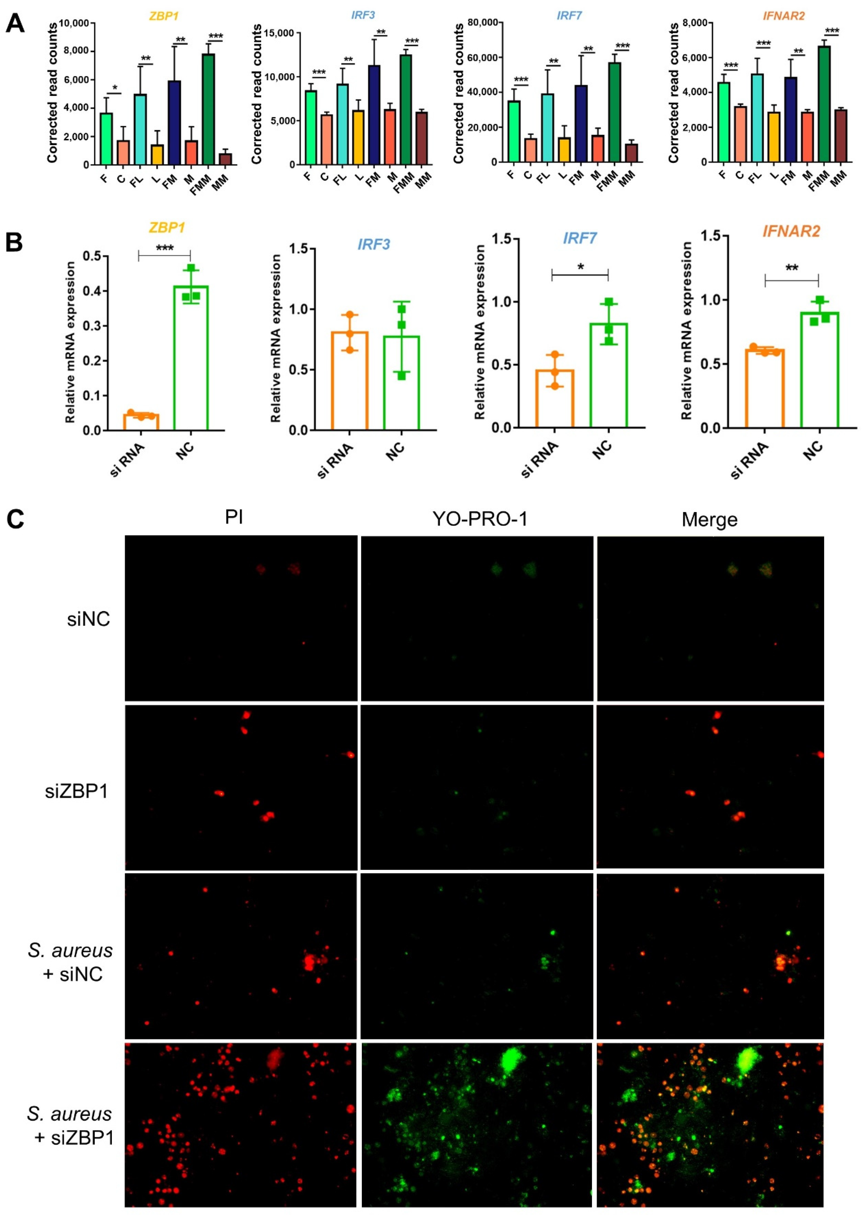 Biology 10 01164 g005