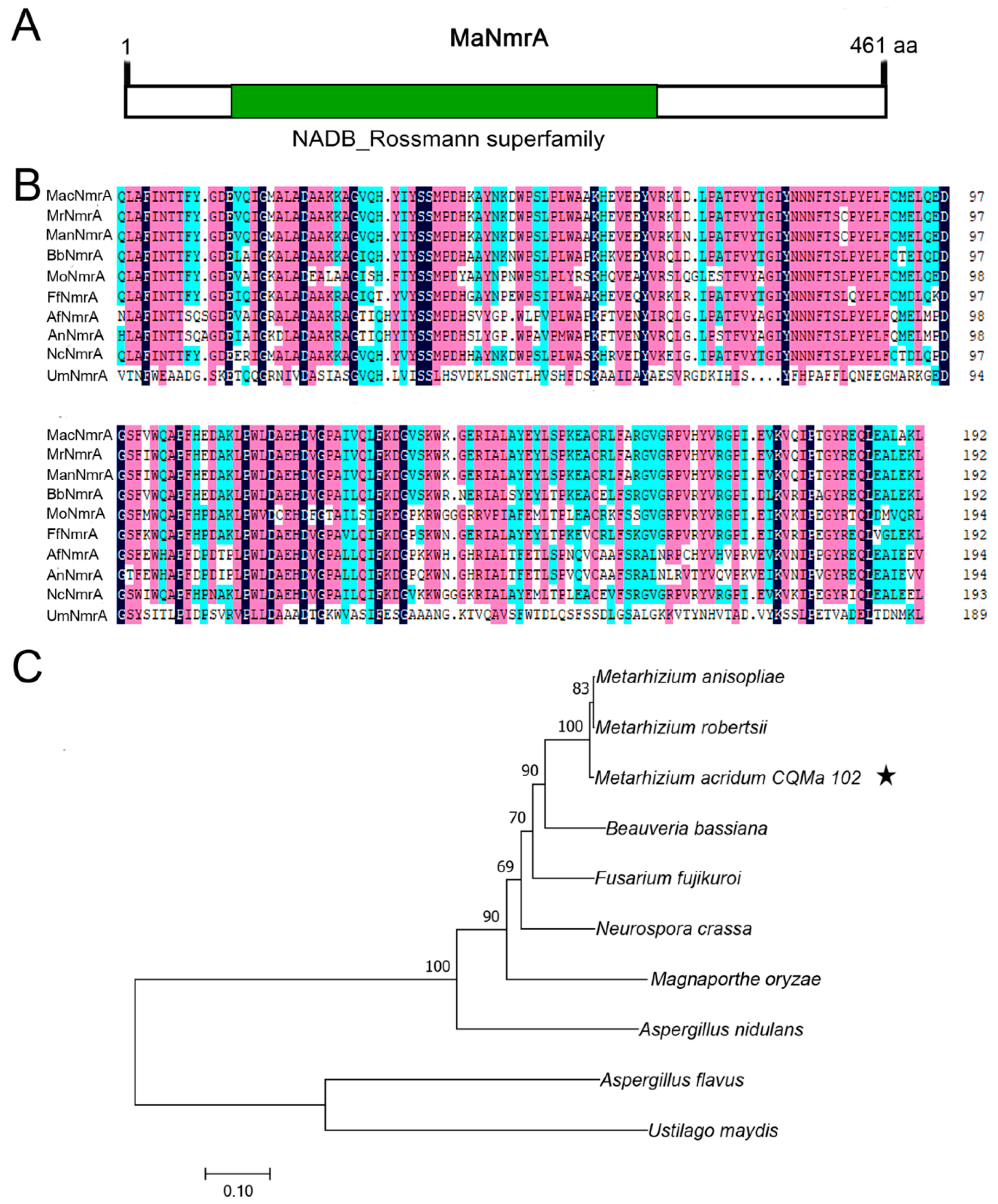 Biology 10 01167 g001