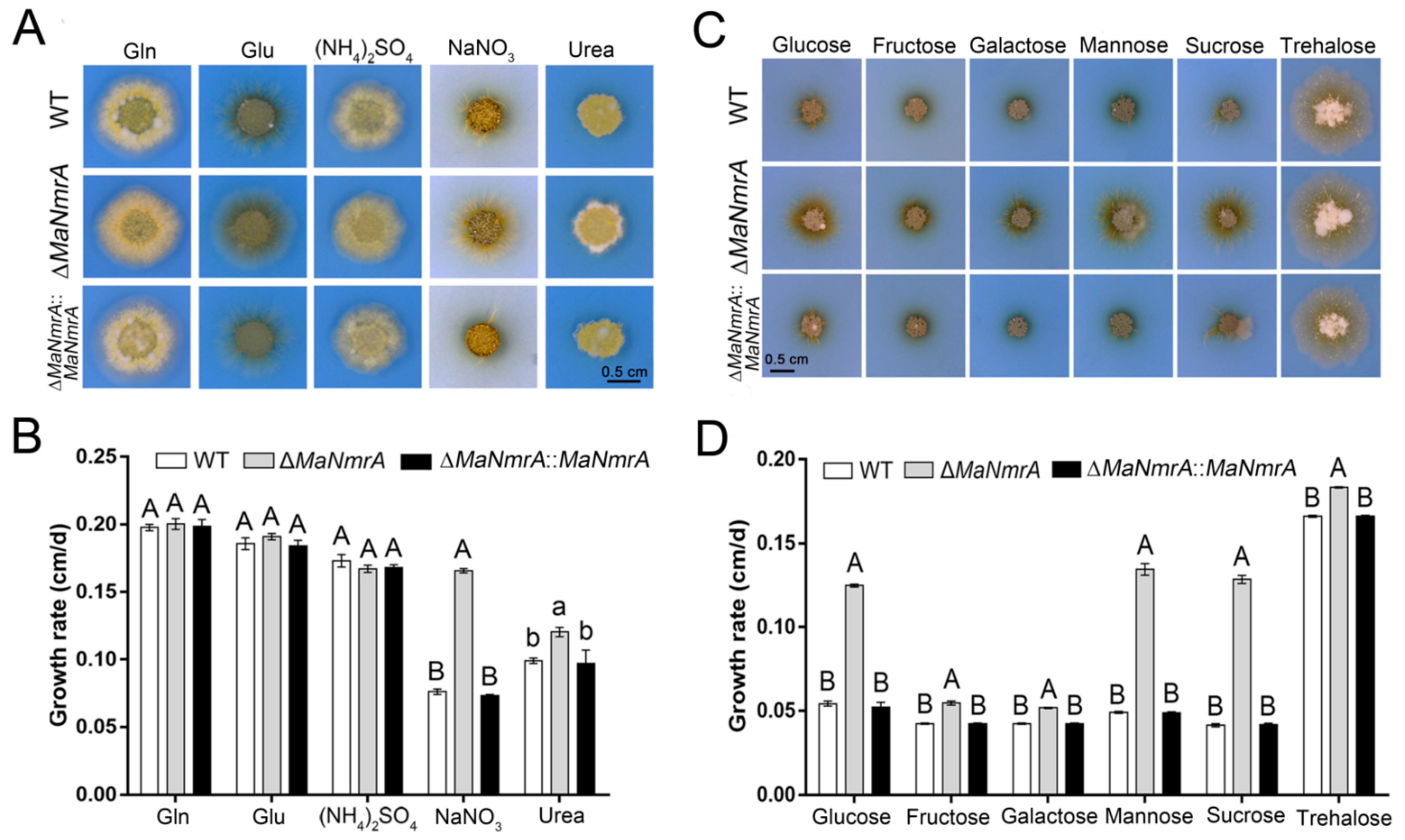 Biology 10 01167 g002