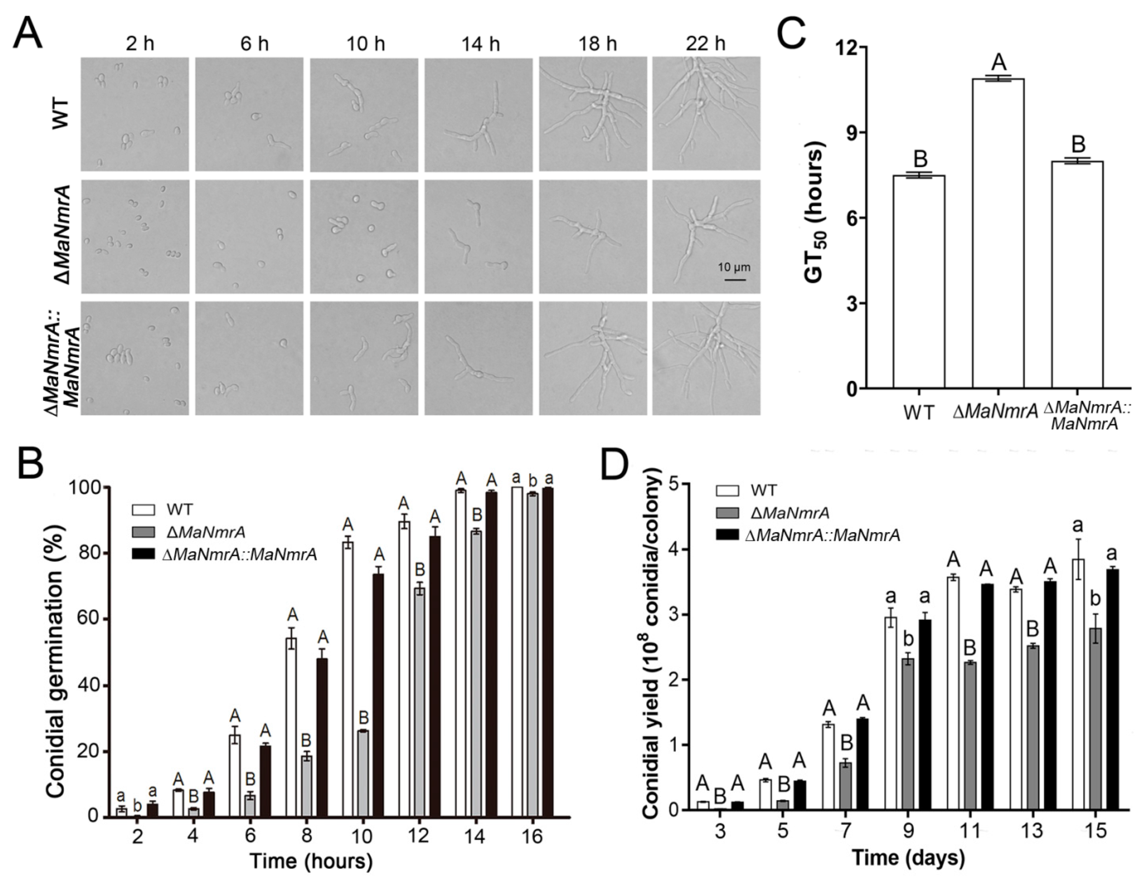 Biology 10 01167 g003