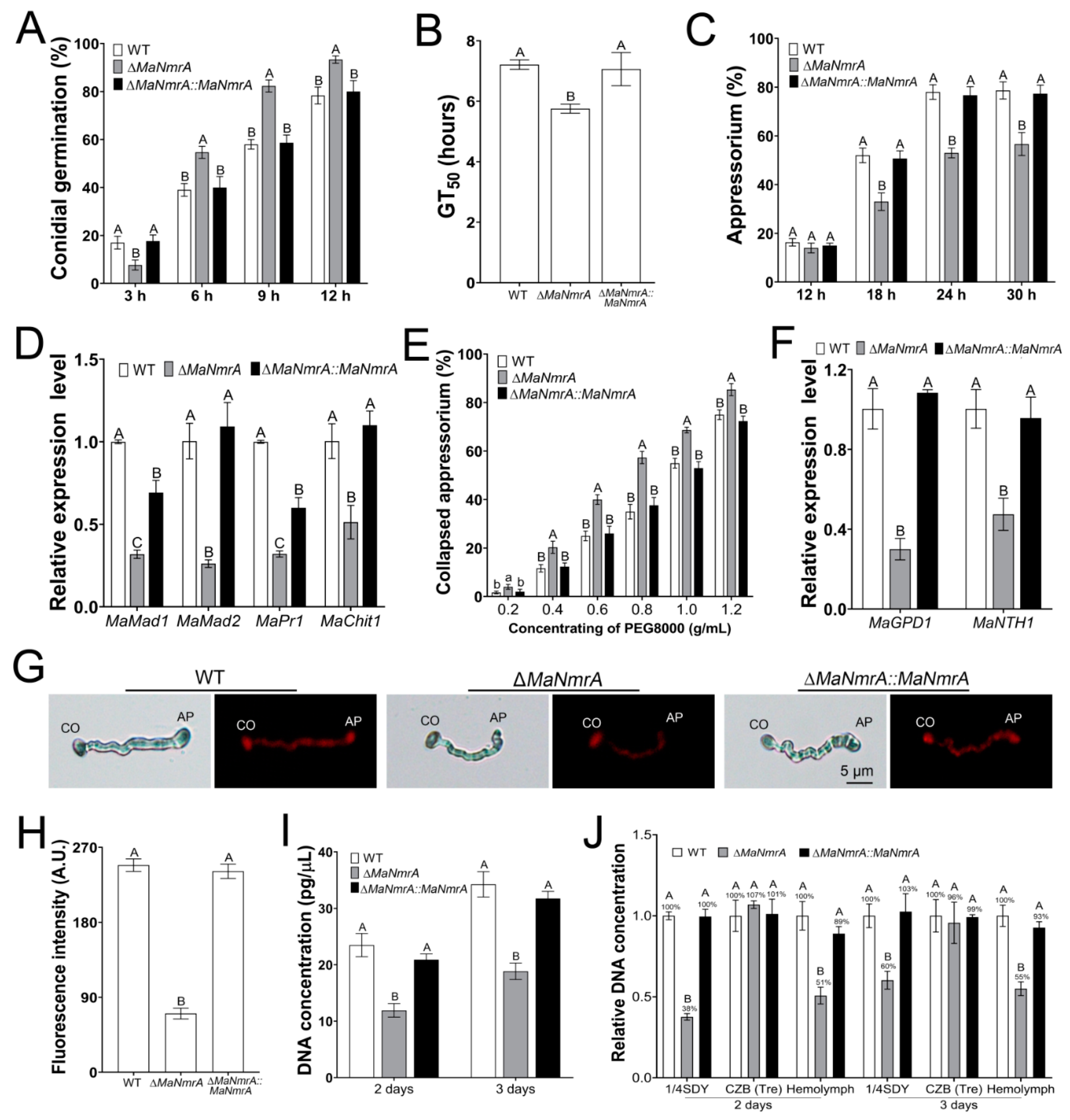 Biology 10 01167 g007