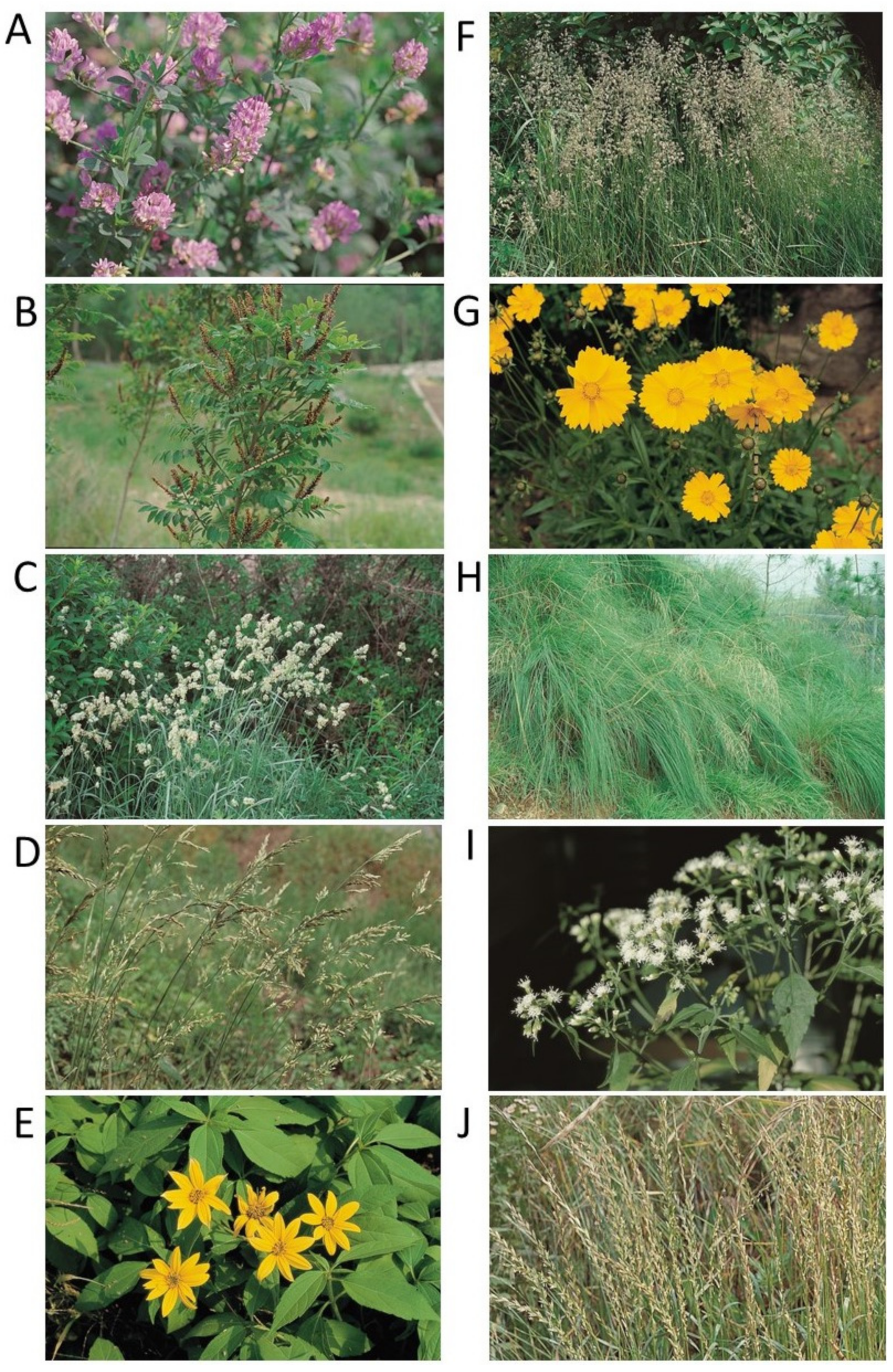 Biology 10 01169 g002 Biology 10 01169 g002