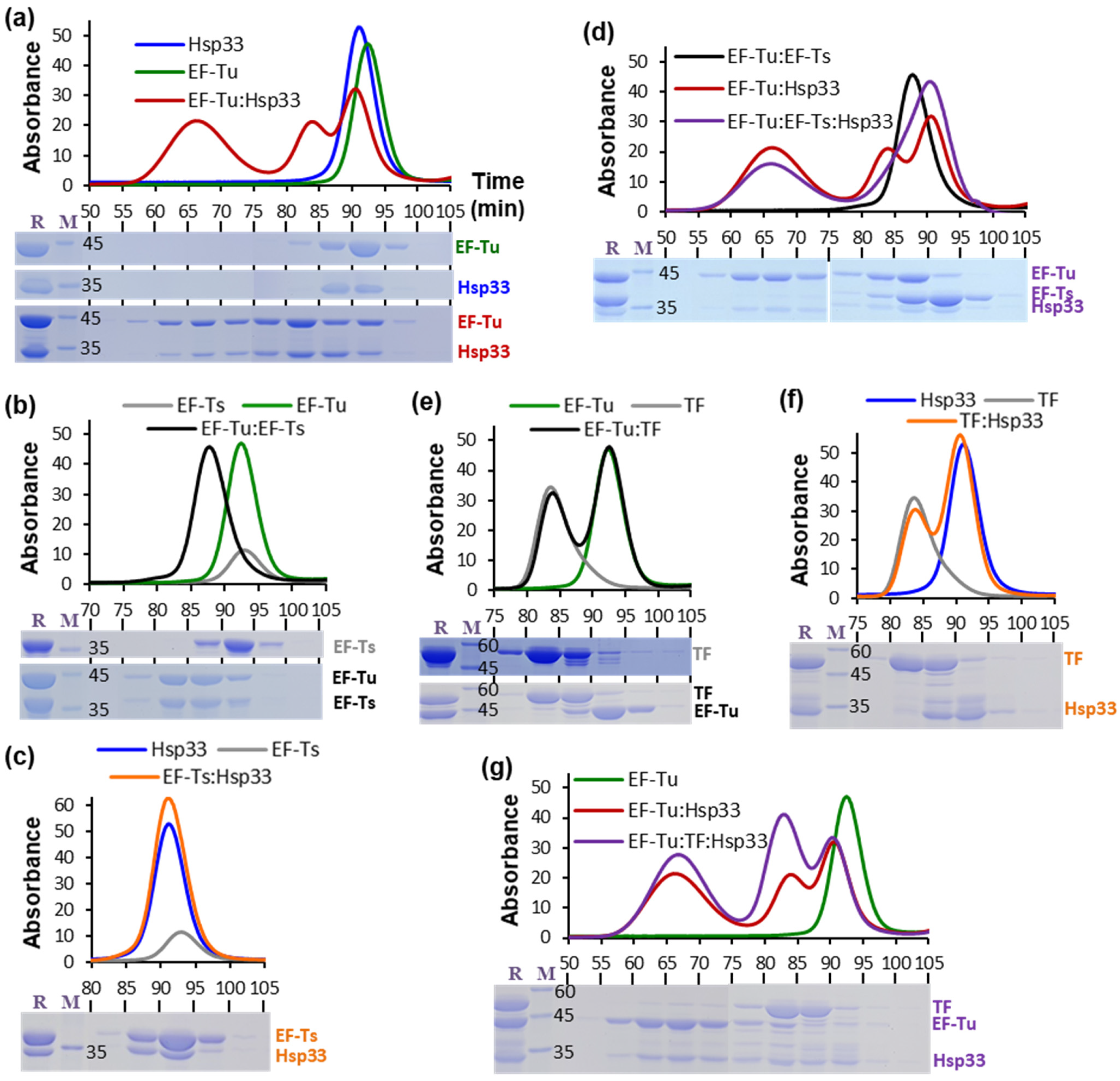 Biology 10 01171 g001 Biology 10 01171 g001