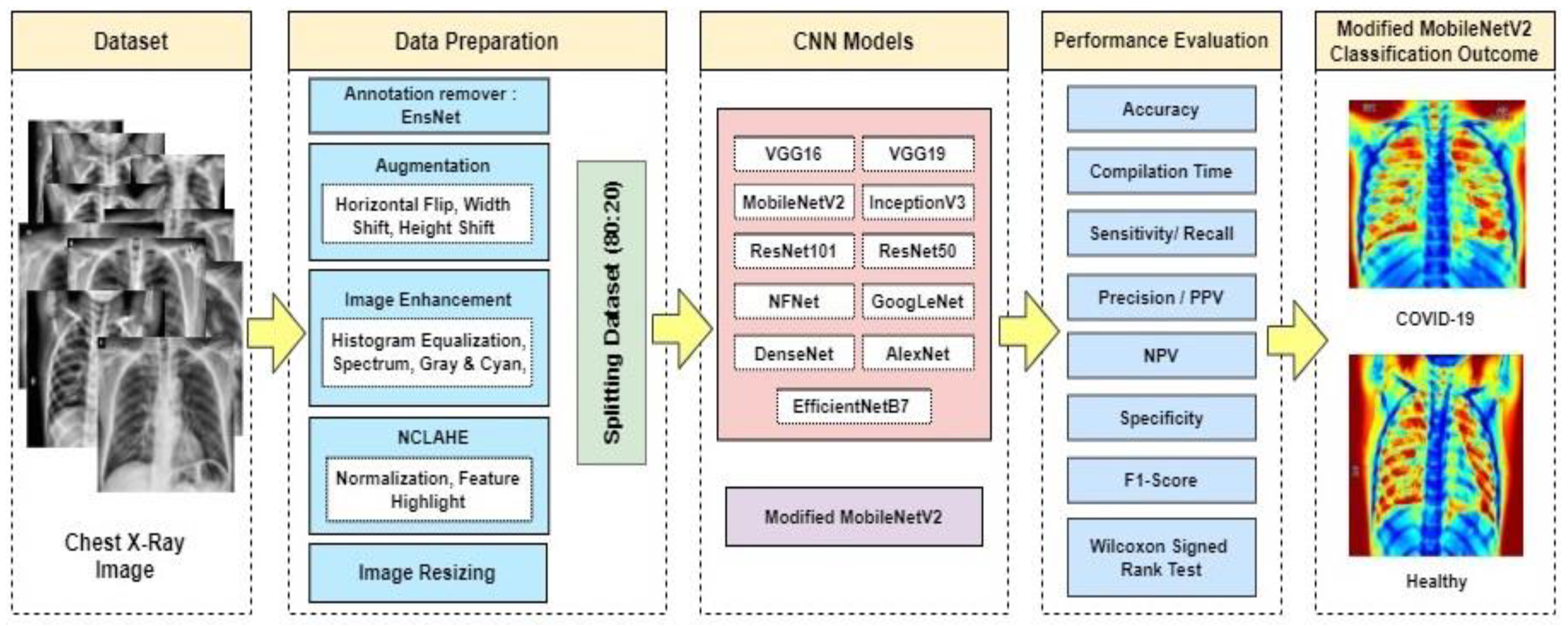 Biology 10 01174 g002