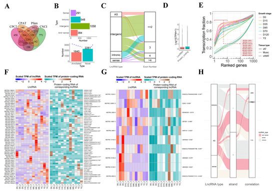Full article: Comparative transcriptomic analysis of rabbit interscapular  brown adipose tissue whitening under physiological conditions