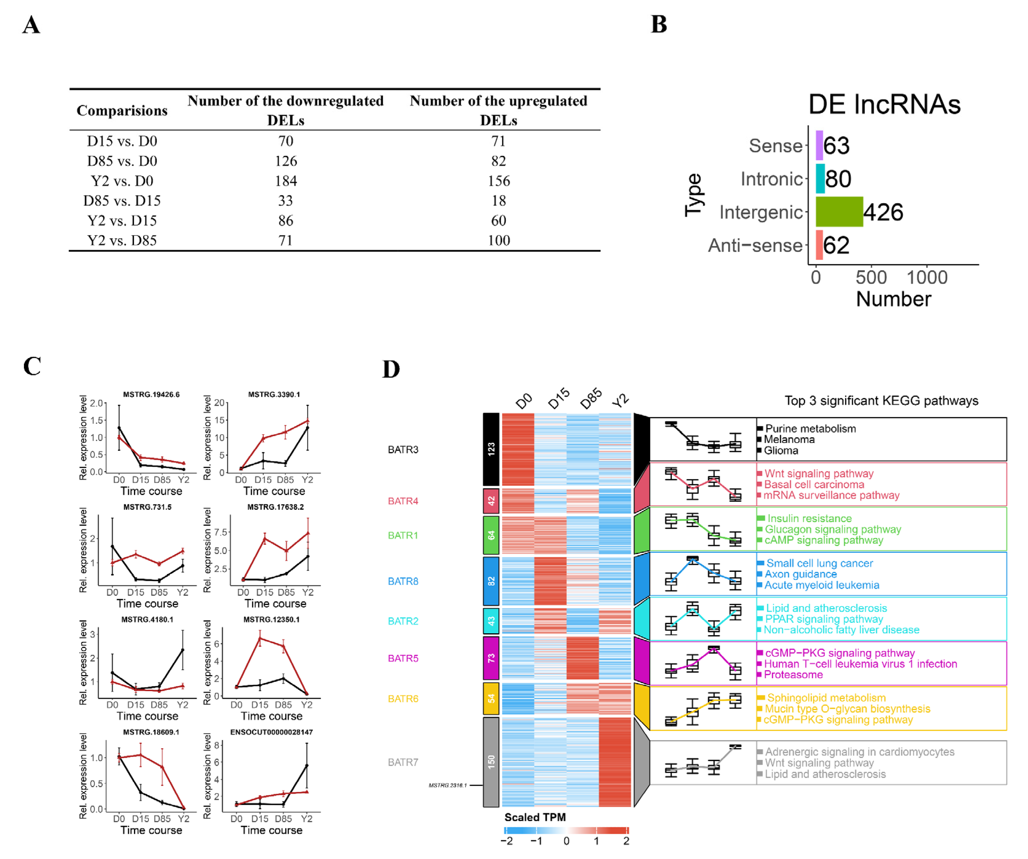 Full article: Comparative transcriptomic analysis of rabbit interscapular  brown adipose tissue whitening under physiological conditions