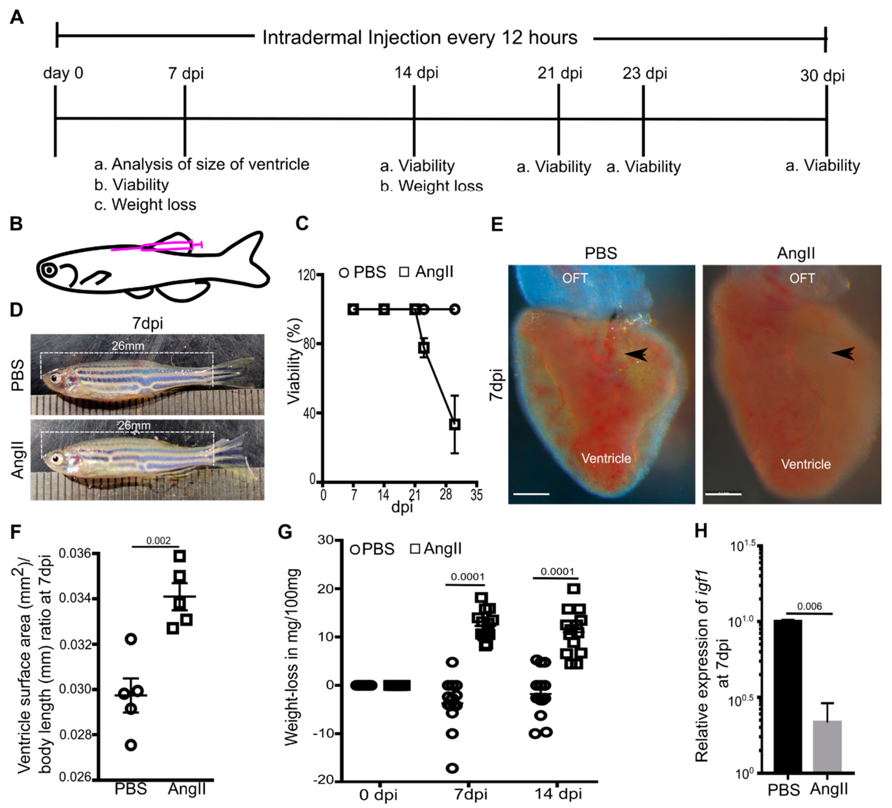 Biology 10 01177 g001 Biology 10 01177 g001