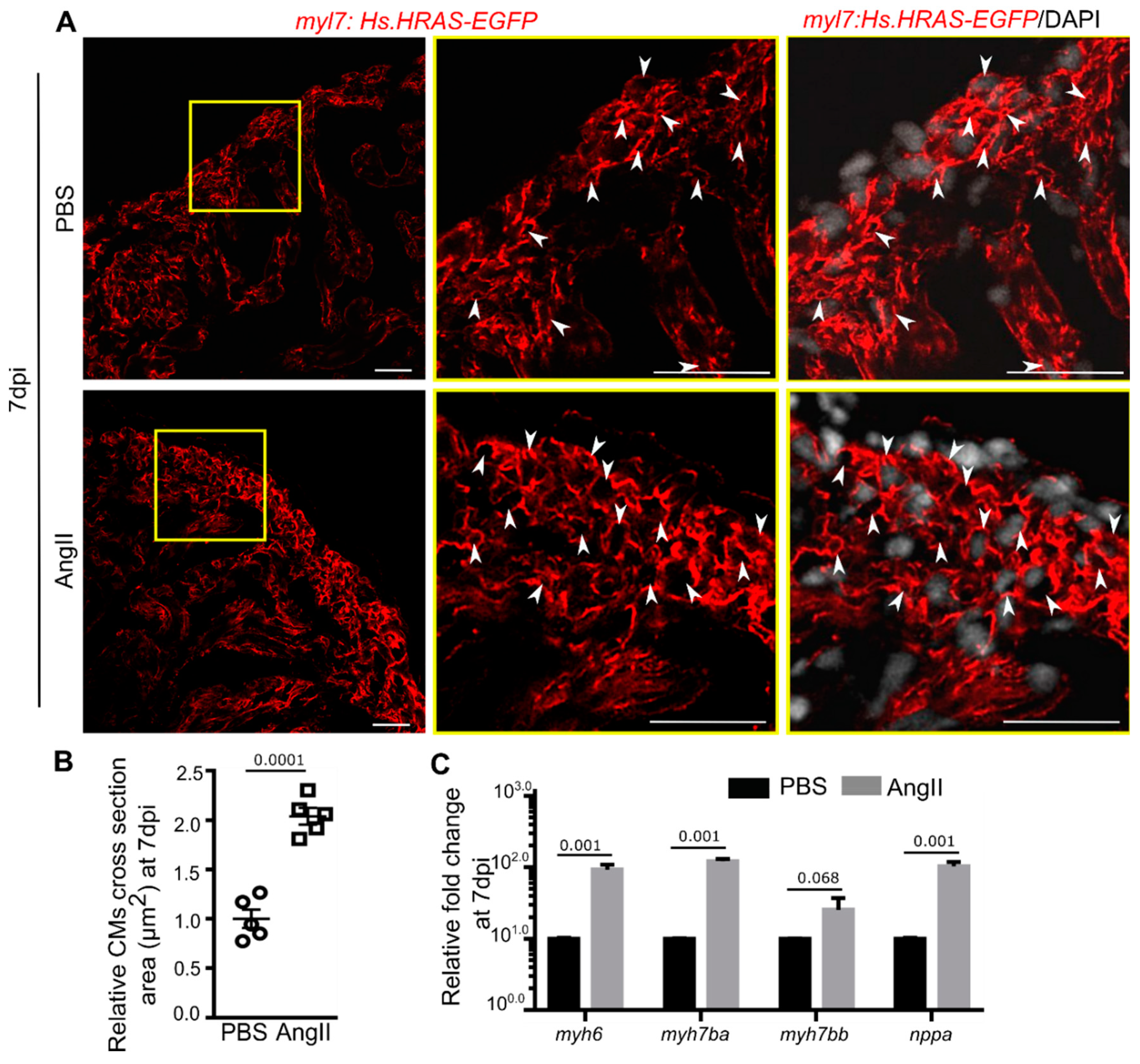 Biology 10 01177 g003 Biology 10 01177 g003