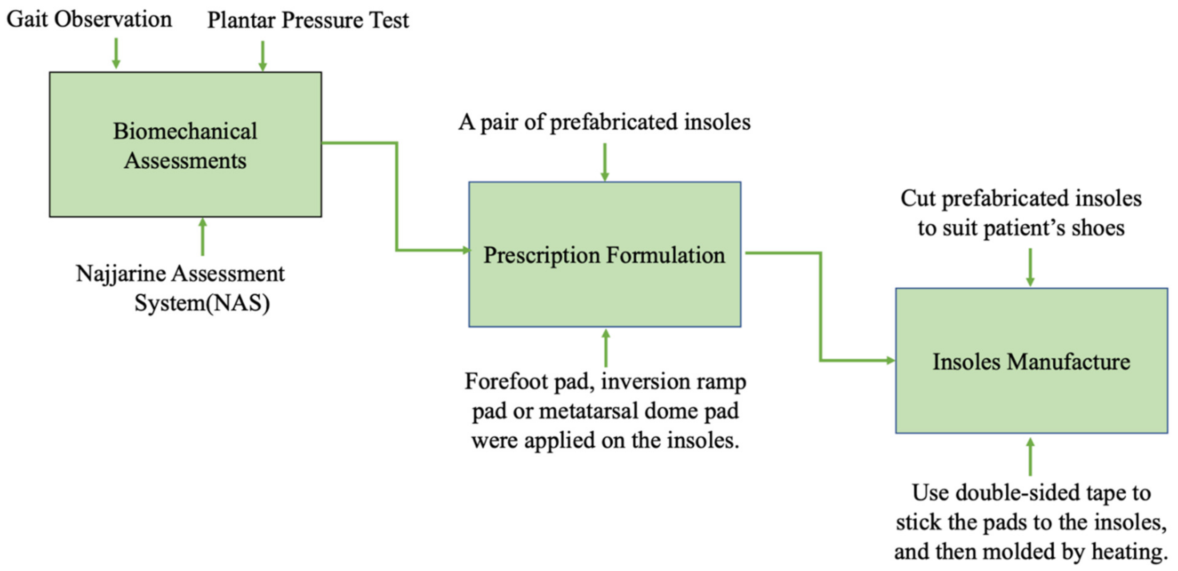 Biology 10 01187 g001 Biology 10 01187 g001