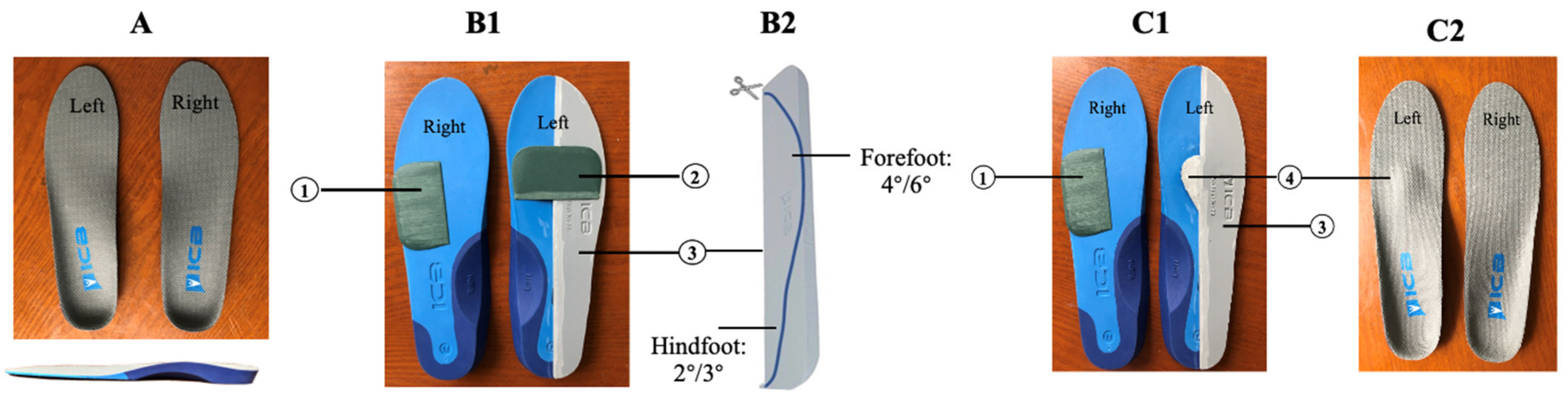 Biology 10 01187 g002 Biology 10 01187 g002