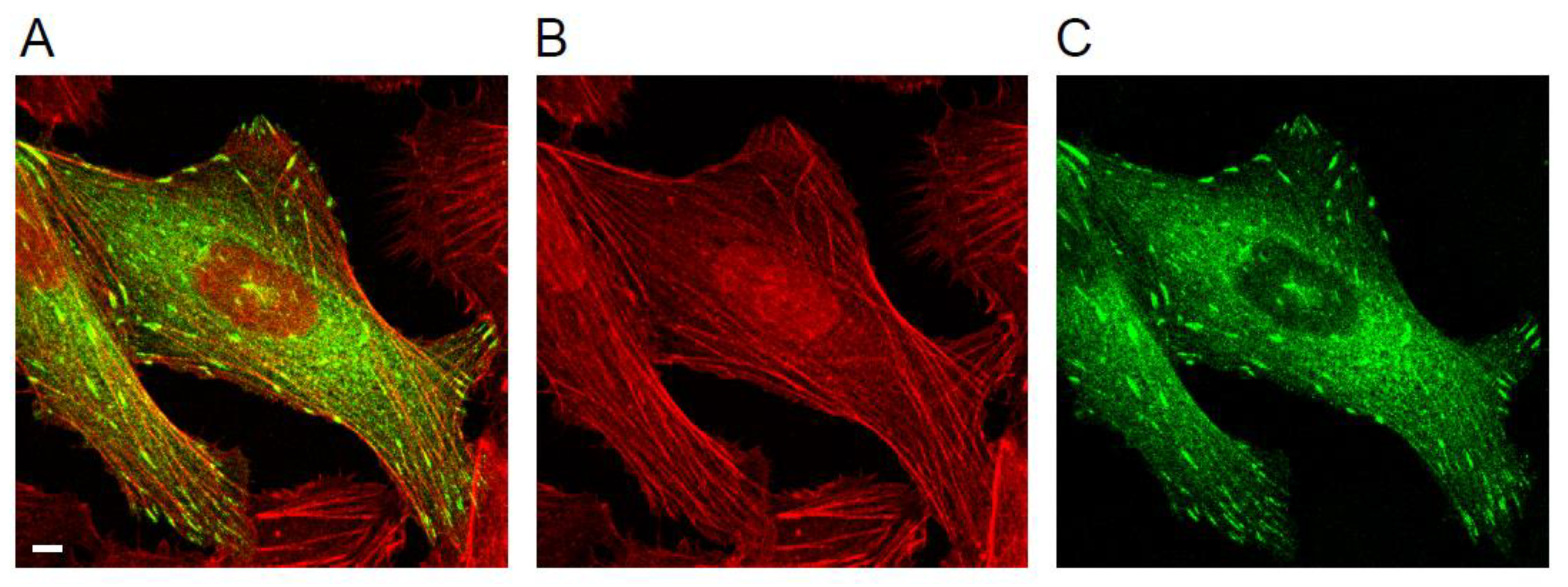 Biology 10 01189 g001 550
