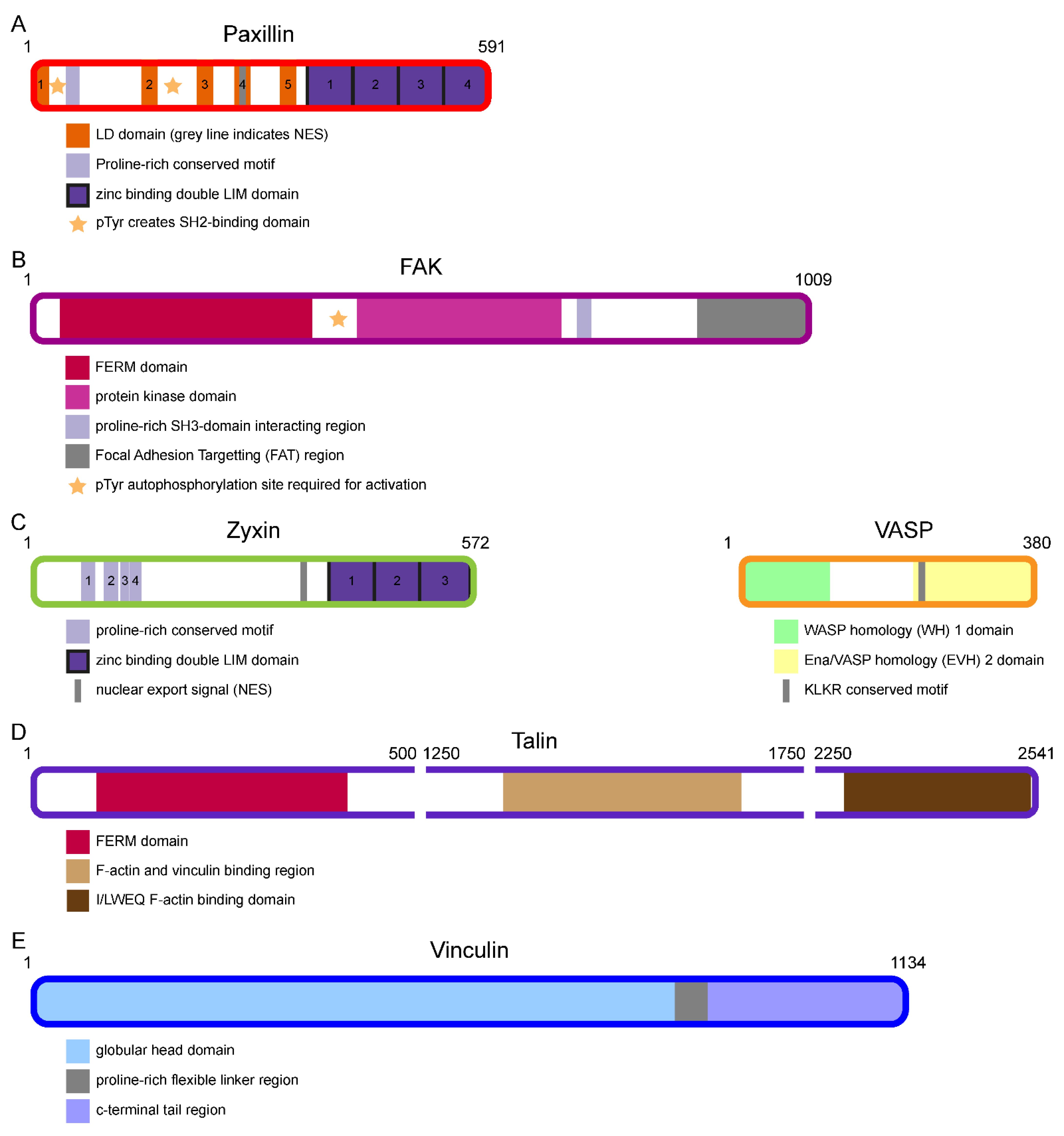 Biology 10 01189 g003 550