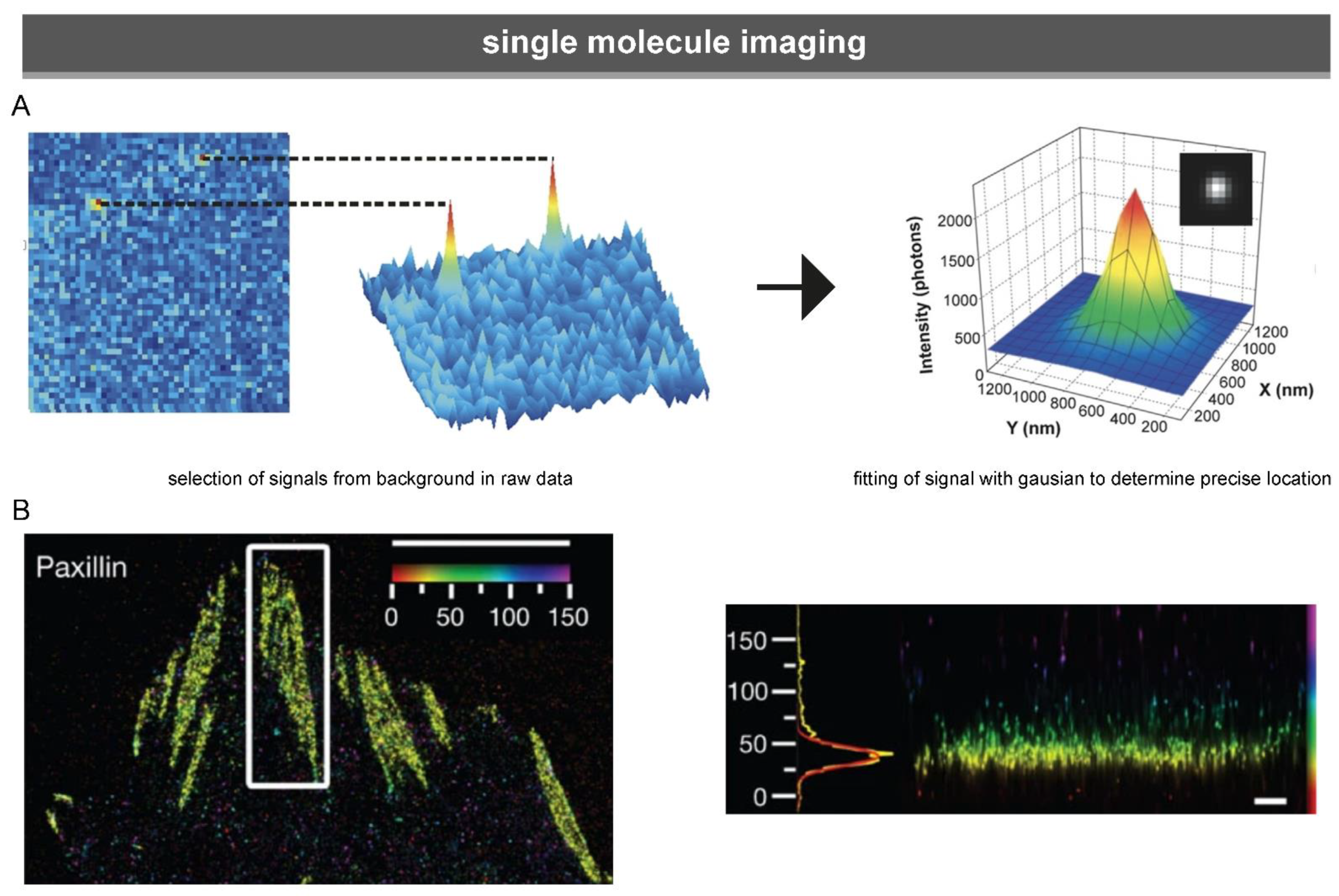 Biology 10 01189 g006 550
