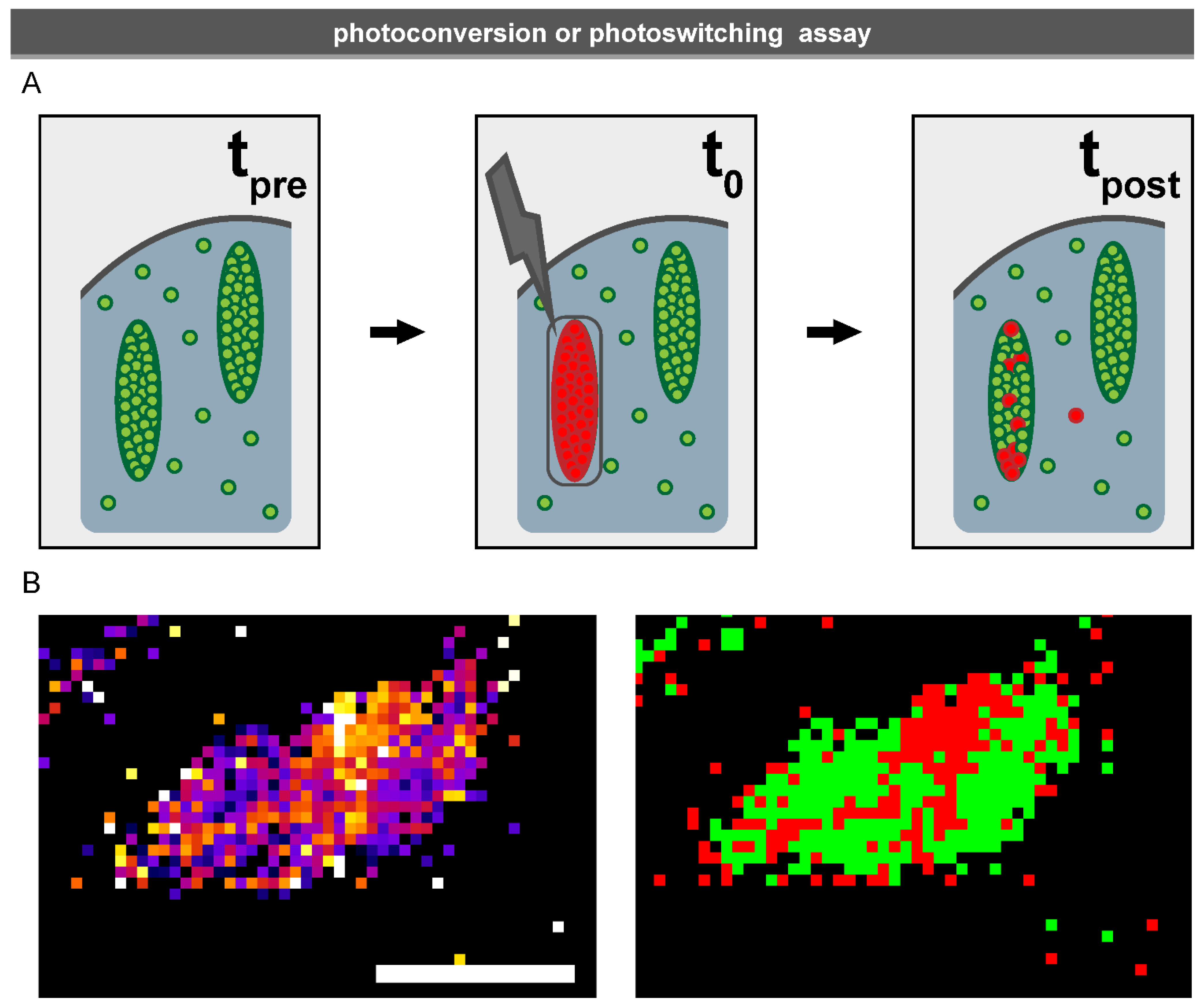 Biology 10 01189 g007 550