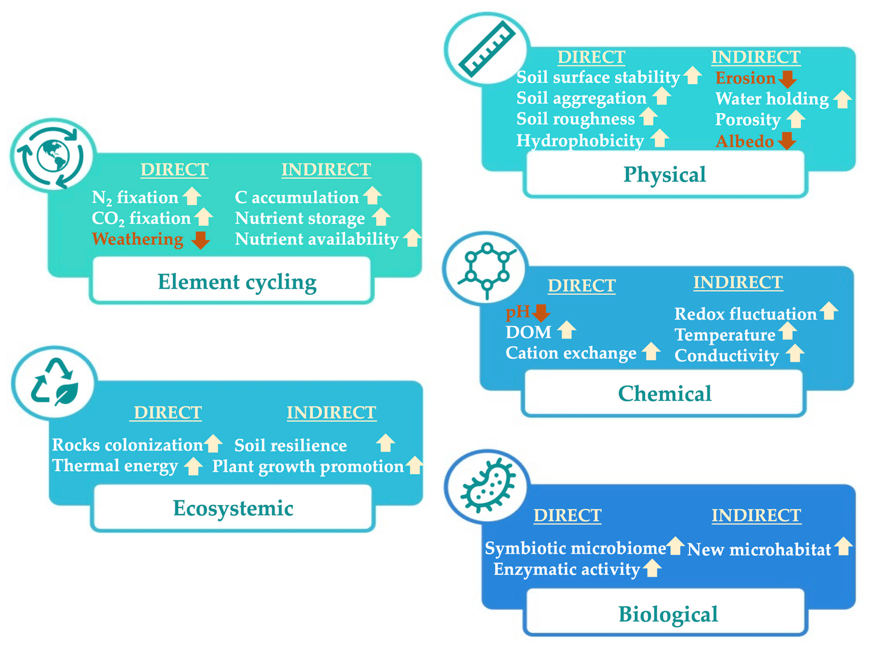 Biology 10 01190 g001
