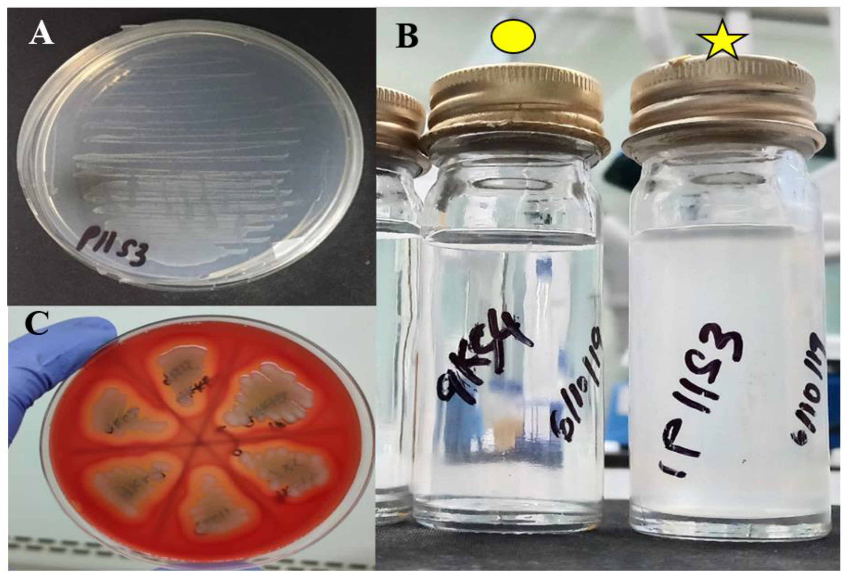 Biology 10 01192 g0a1