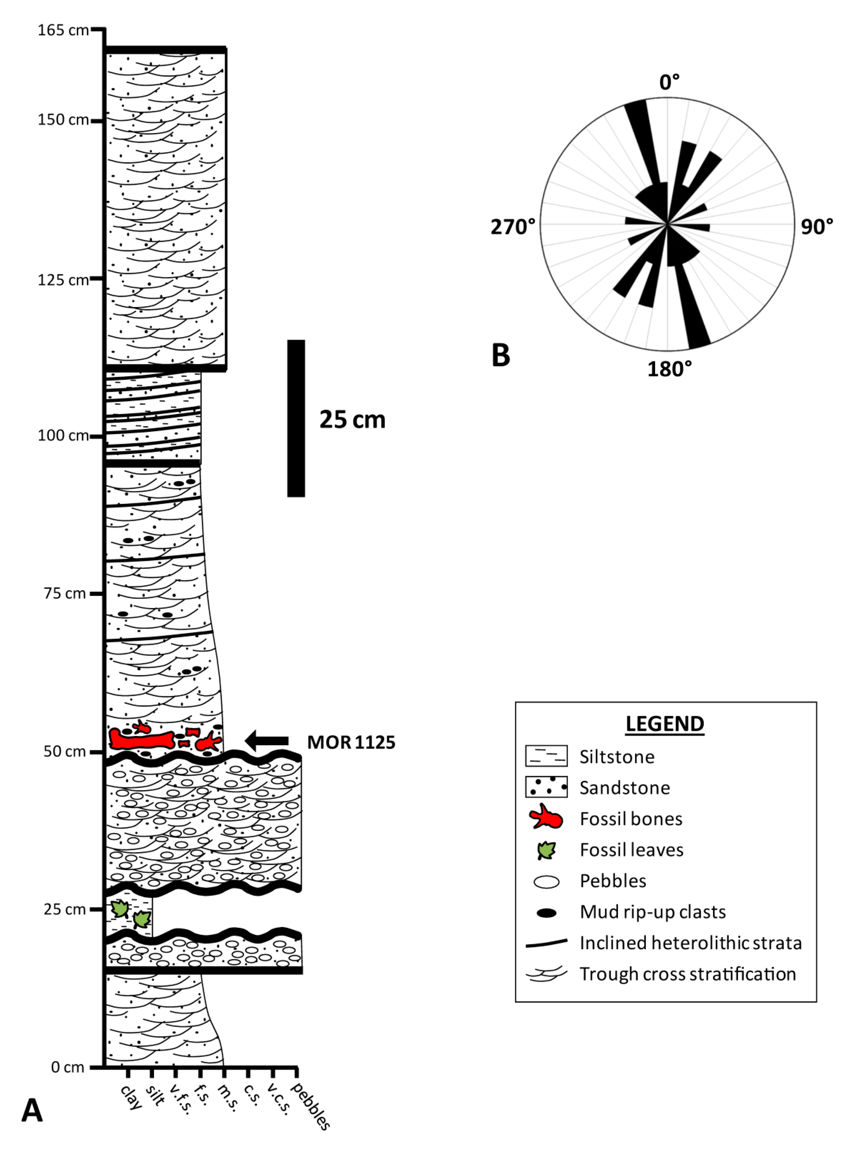 Biology 10 01193 g003 Biology 10 01193 g003