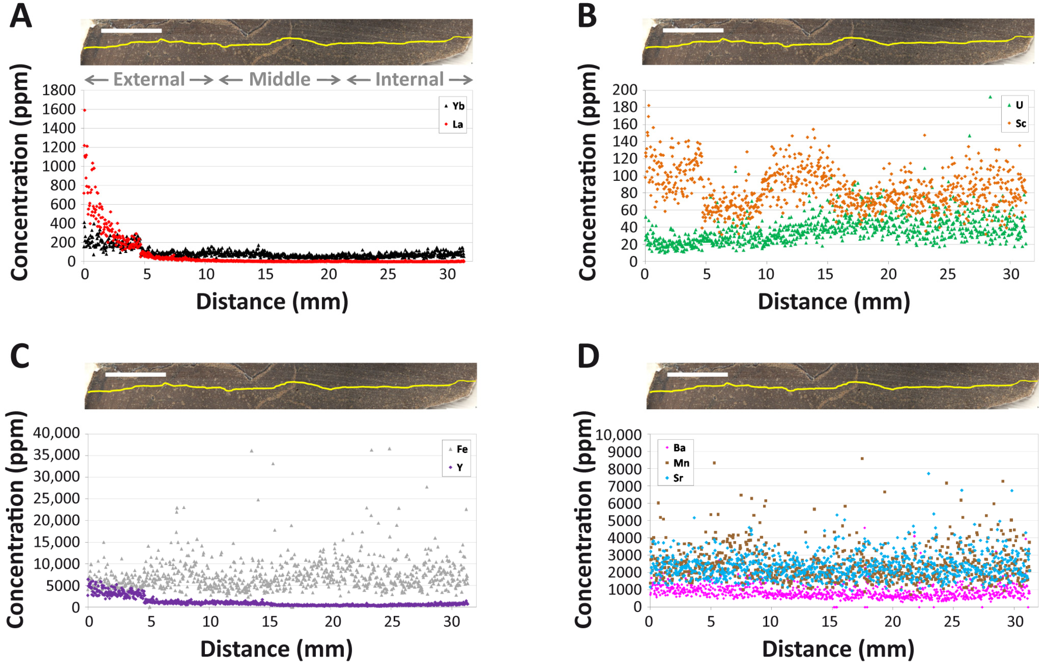 Biology 10 01193 g004 Biology 10 01193 g004