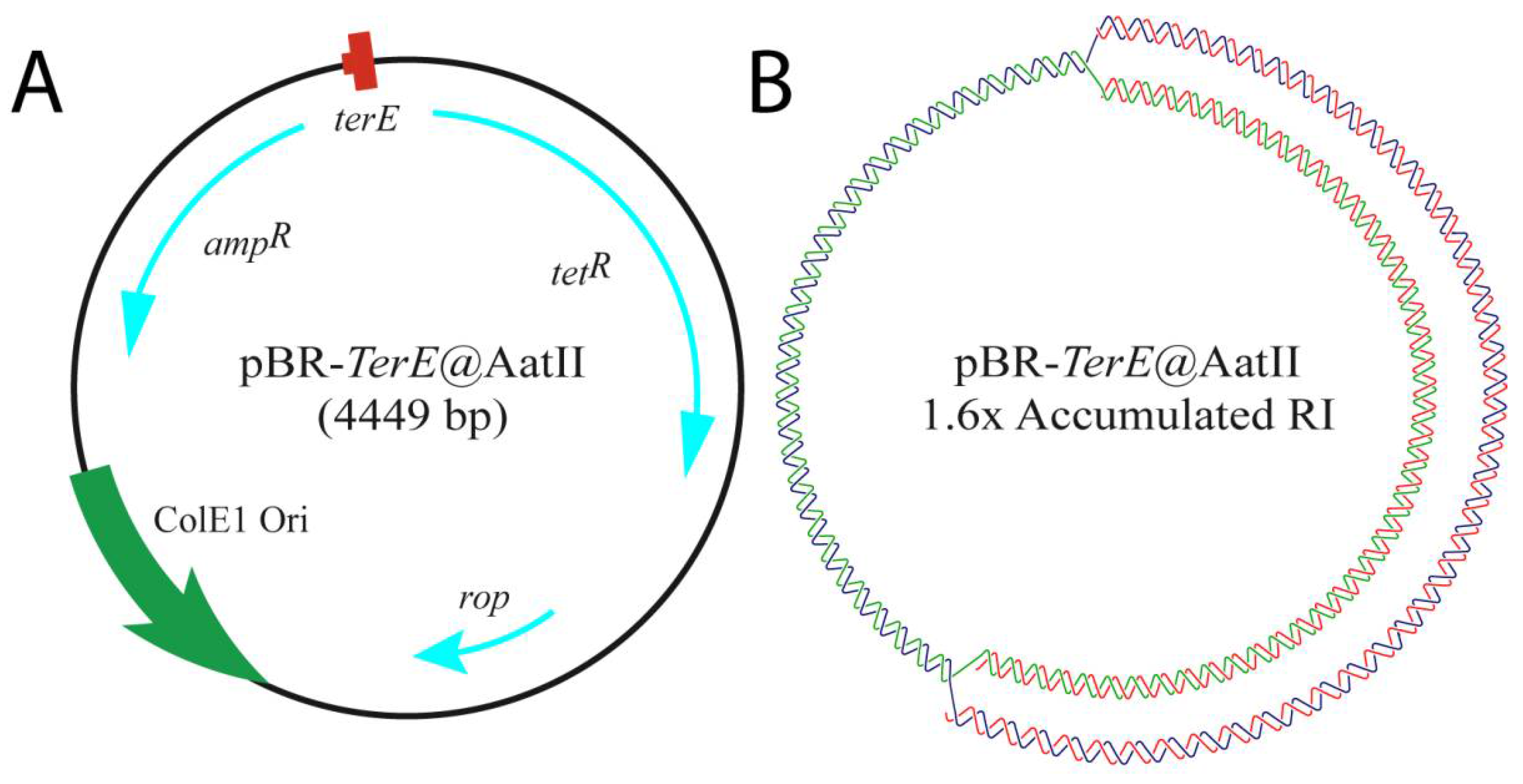 Biology 10 01195 g002