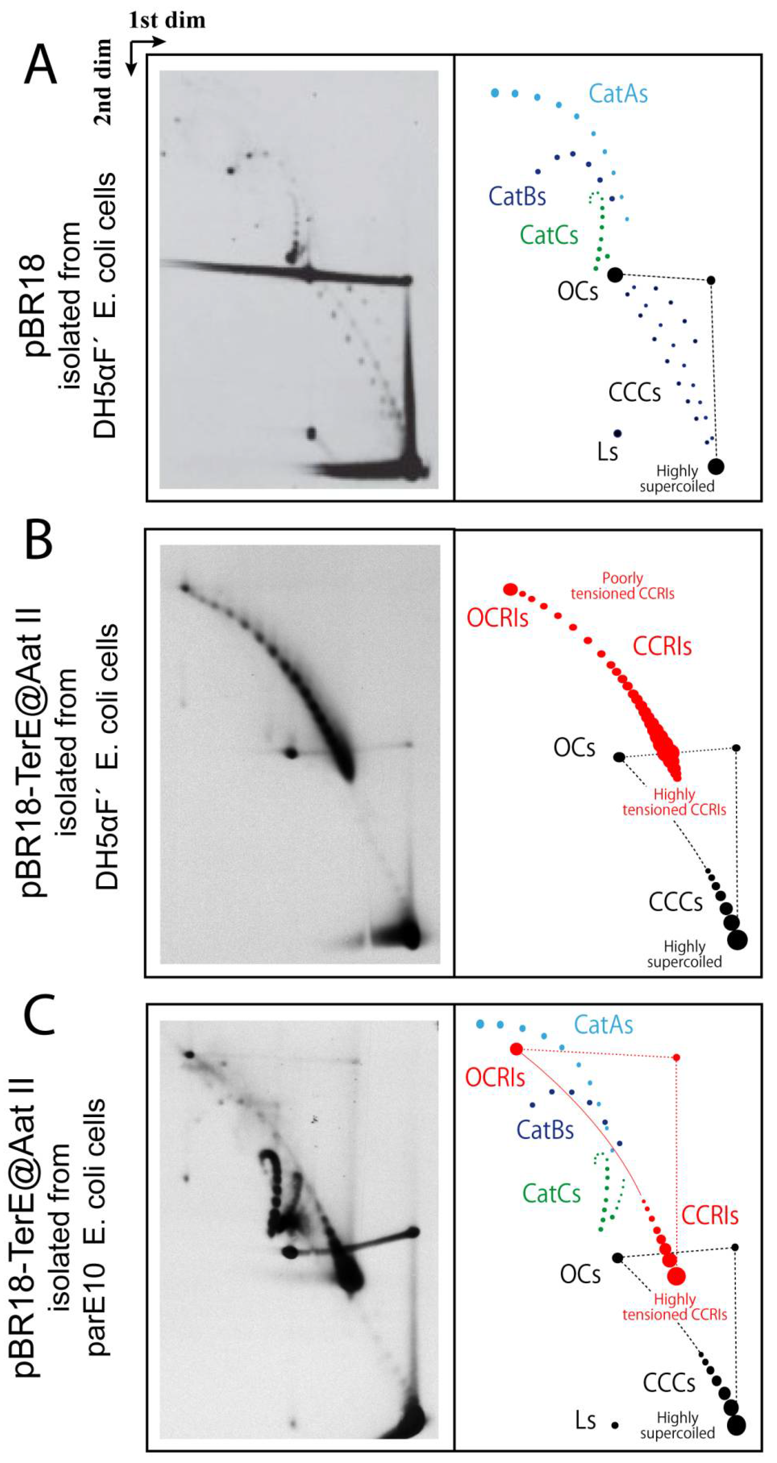 Biology 10 01195 g003