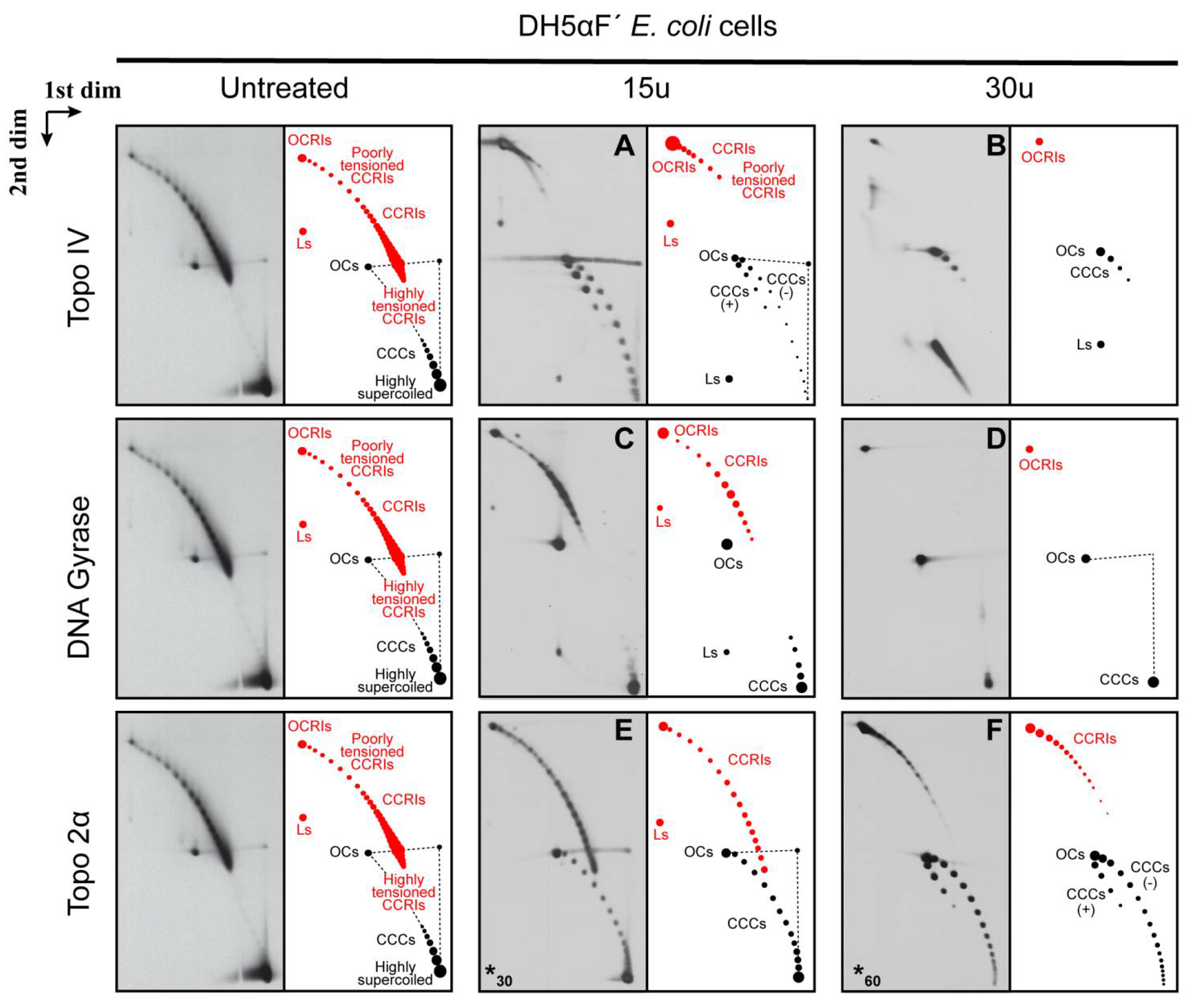 Biology 10 01195 g004
