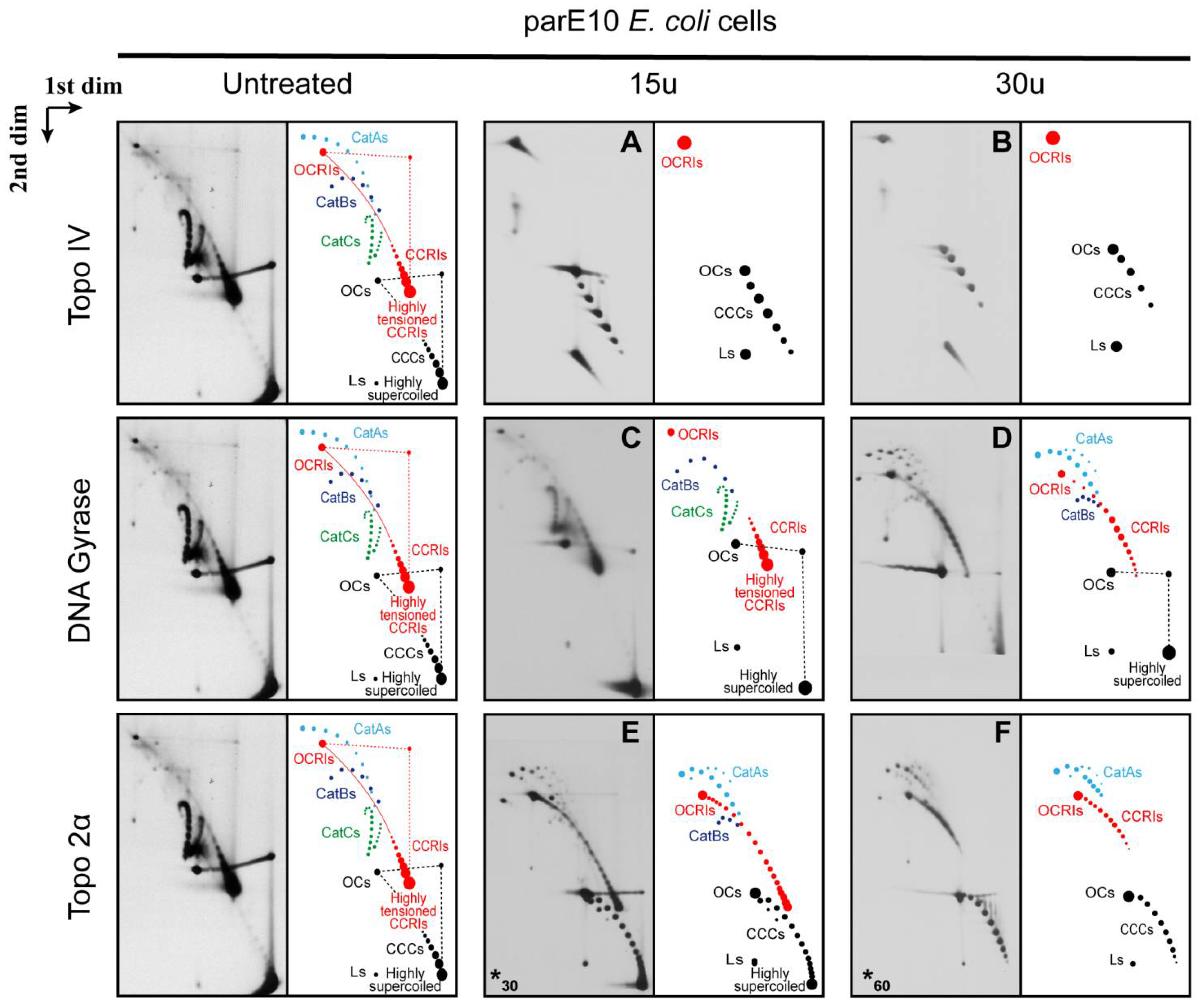Biology 10 01195 g005