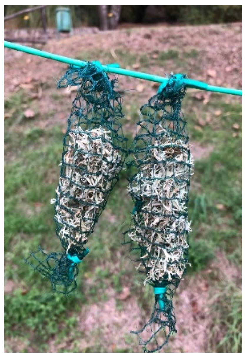 Biology 10 01198 g001