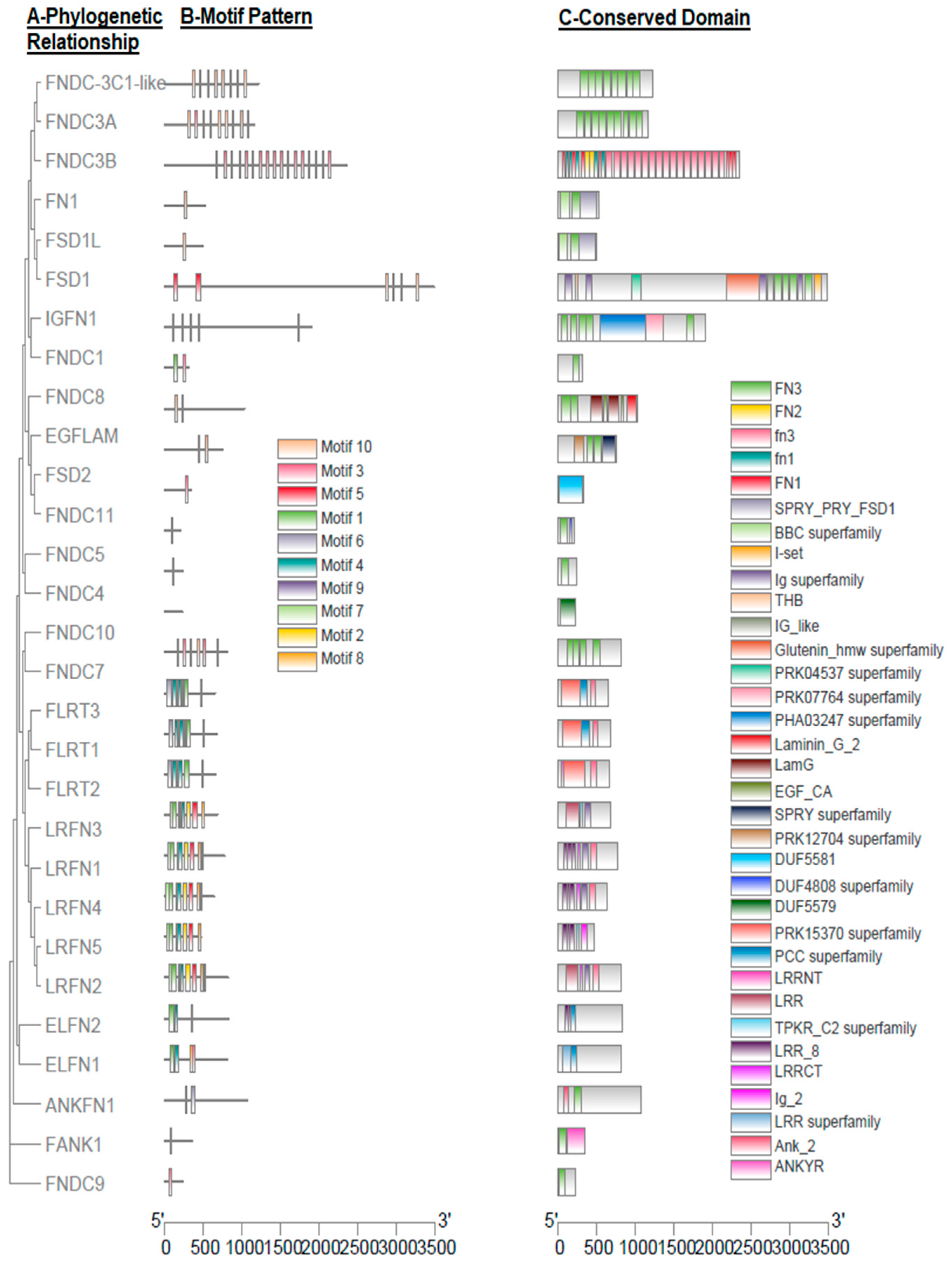 Biology 10 01207 g001 Biology 10 01207 g001