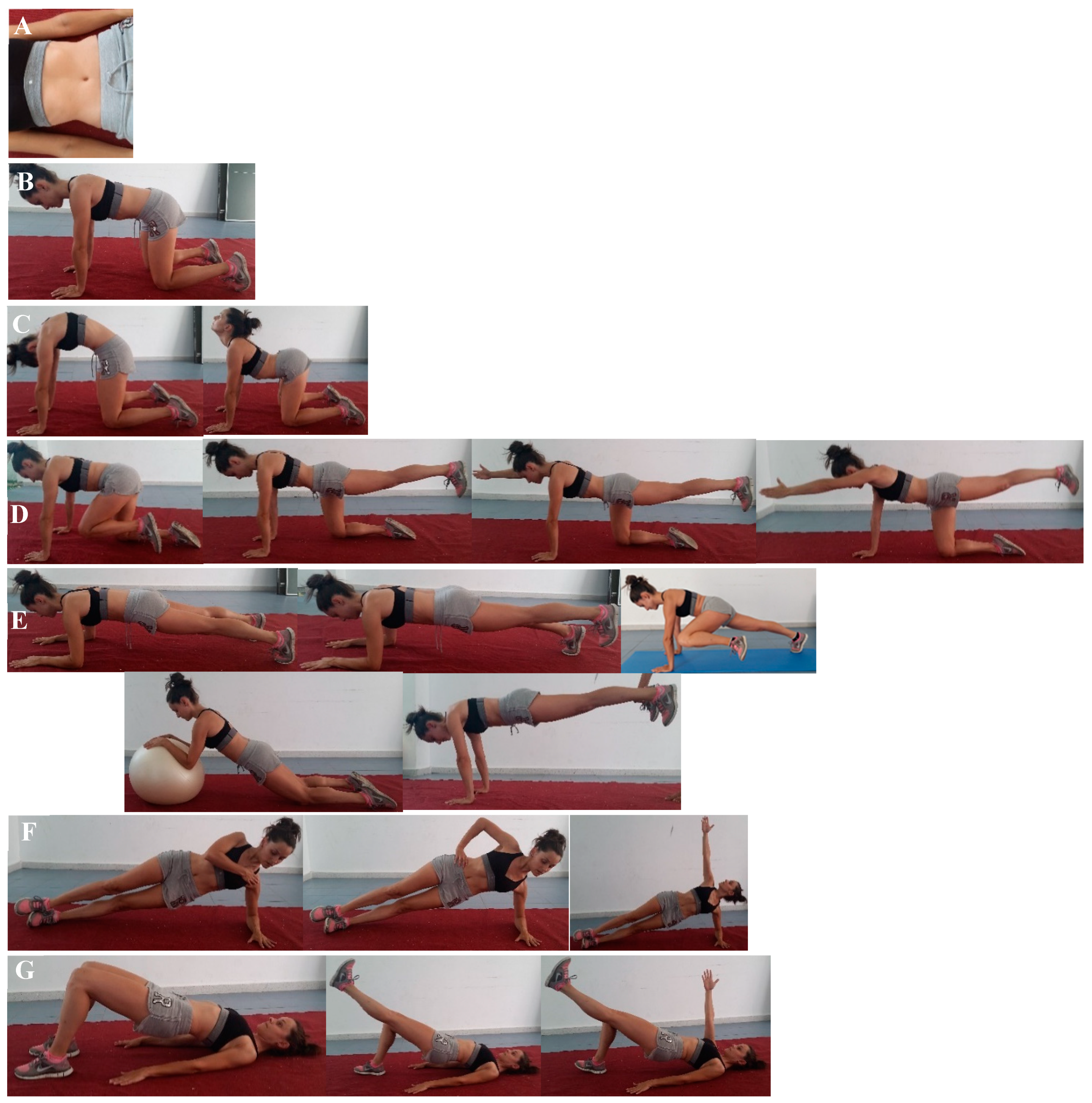 Biology 10 01210 g002 Biology 10 01210 g002