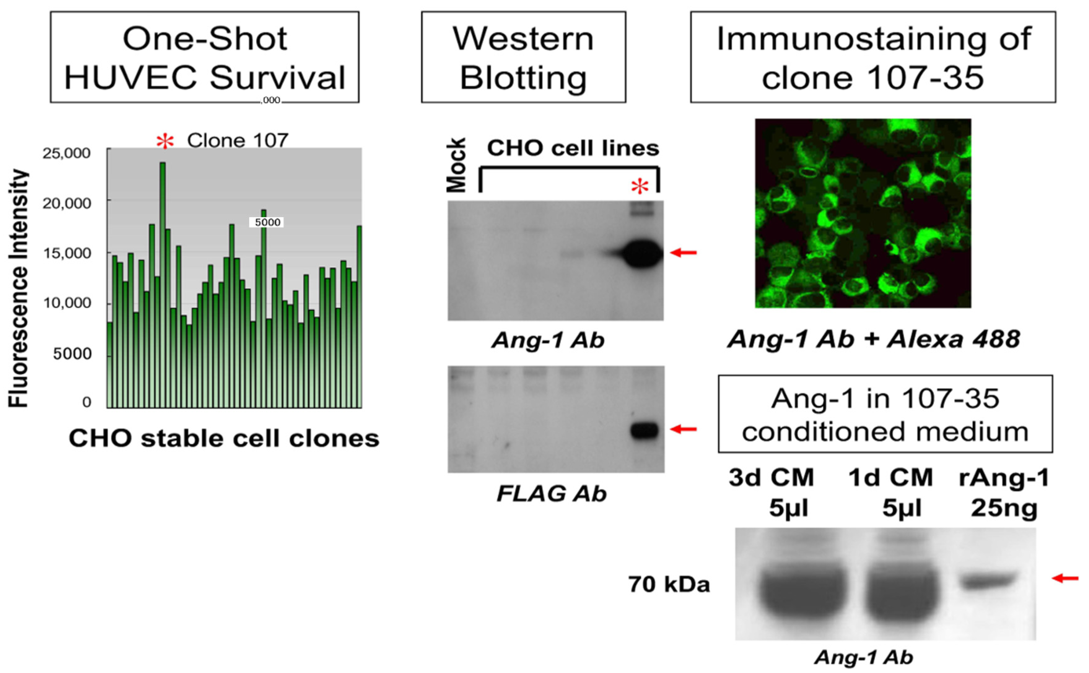 Biology 10 01212 g002