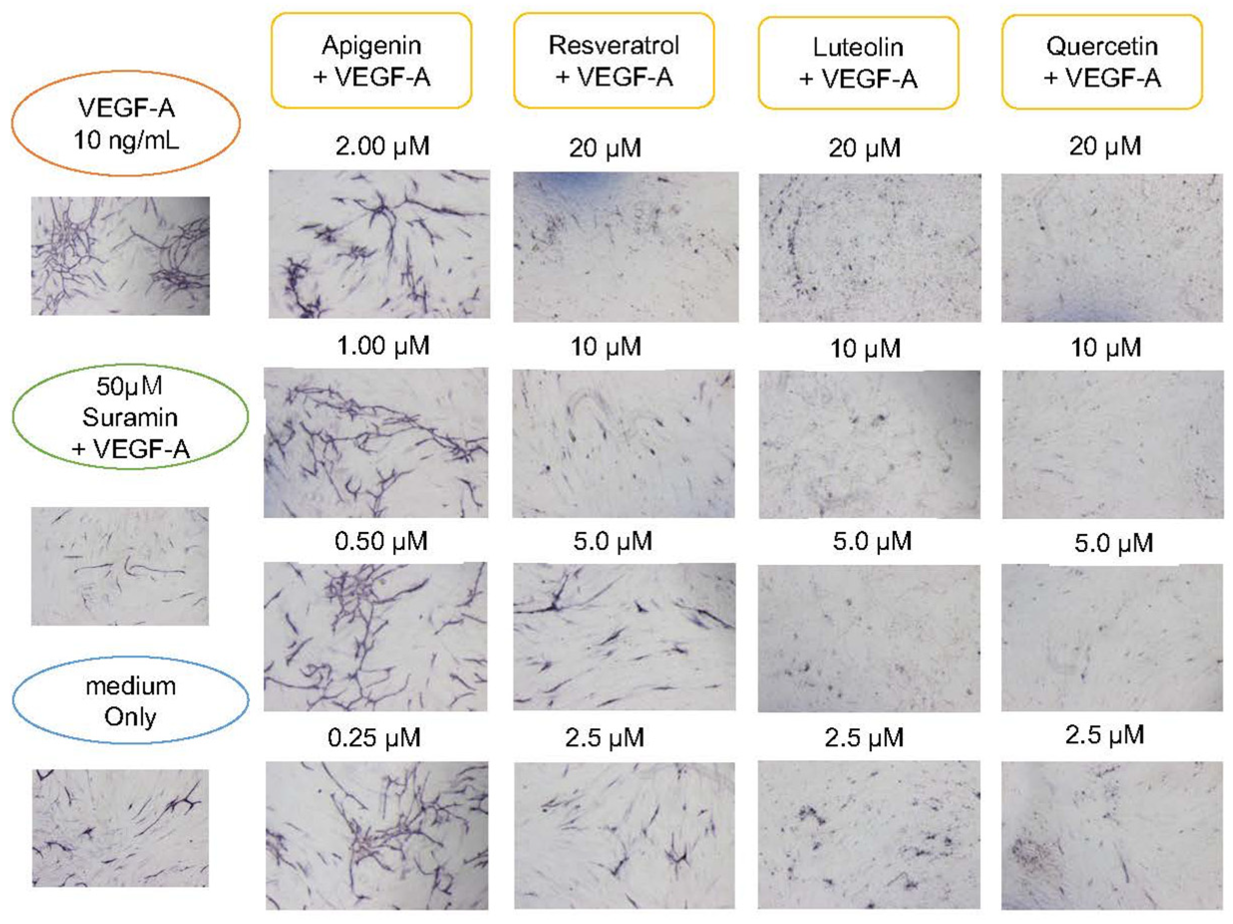 Biology 10 01212 g005