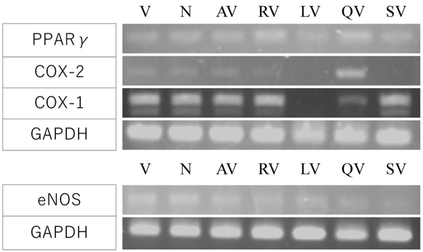 Biology 10 01212 g008