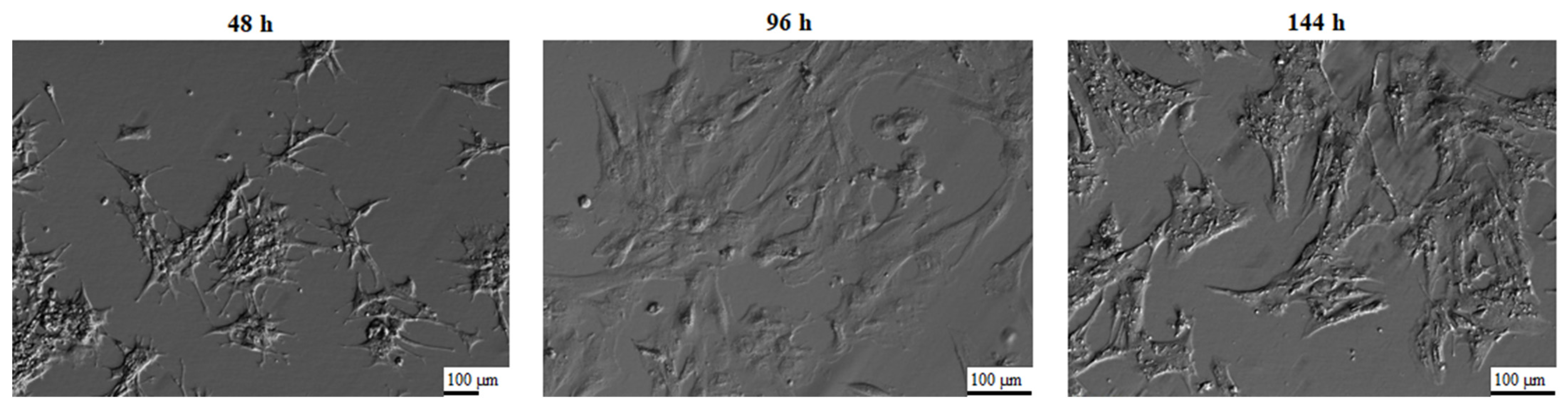 Biology 10 01214 g001 Biology 10 01214 g001