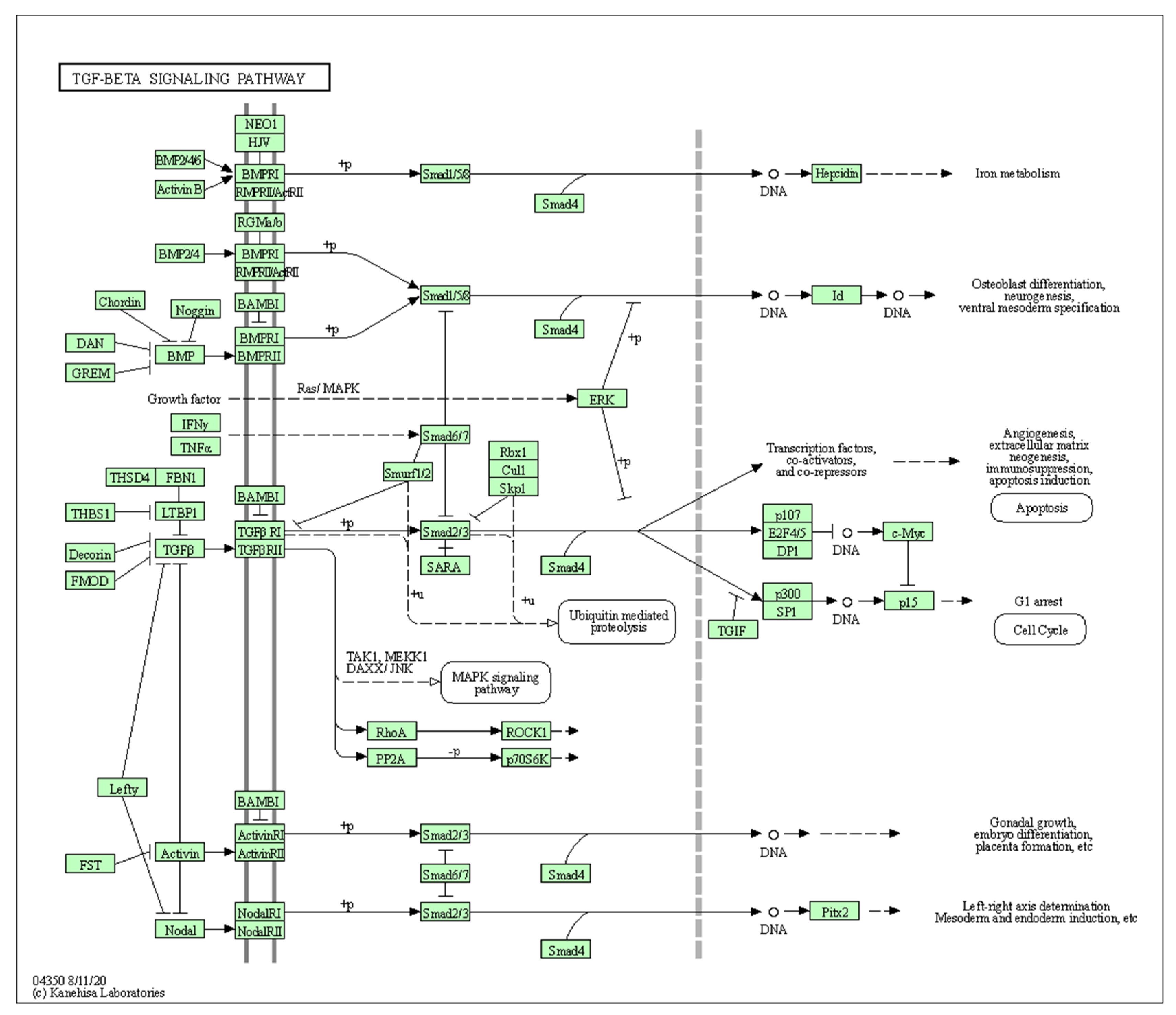 Biology 10 01214 g0a1 Biology 10 01214 g0a1
