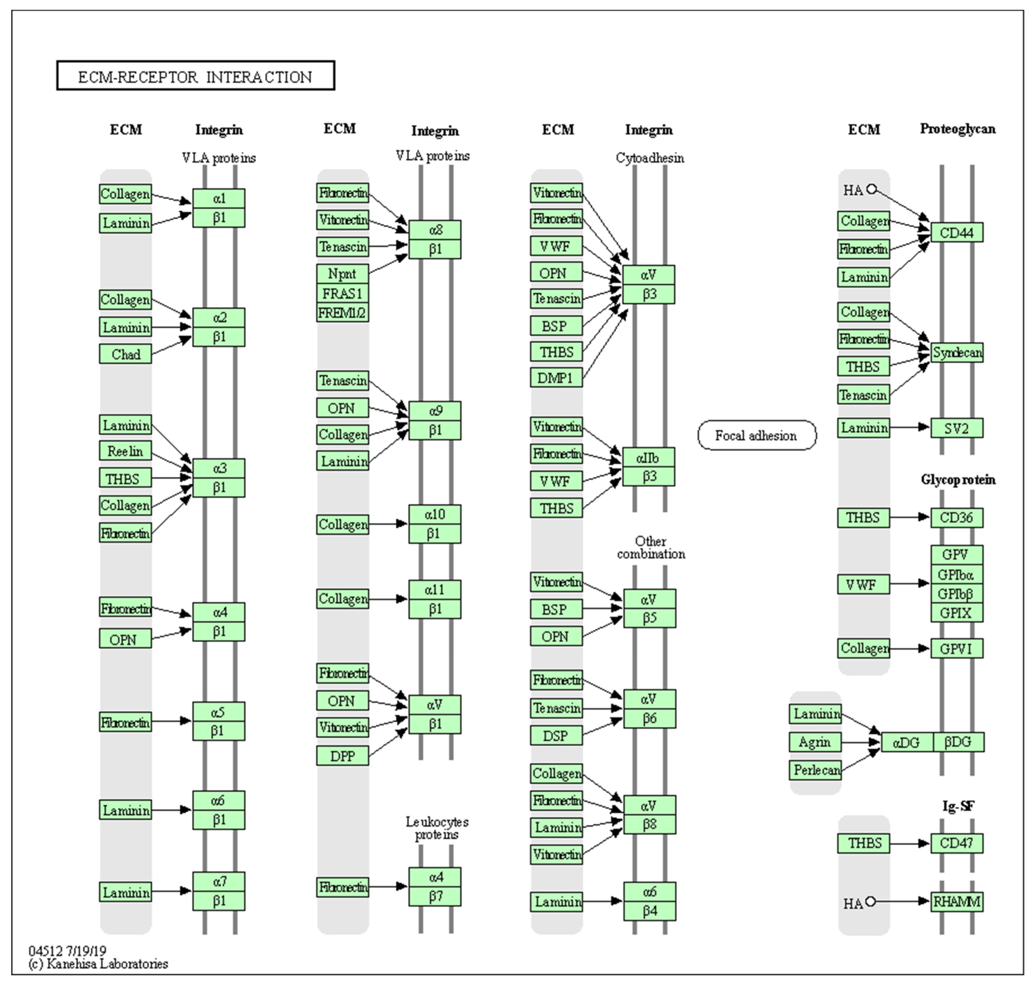 Biology 10 01214 g0a2 Biology 10 01214 g0a2