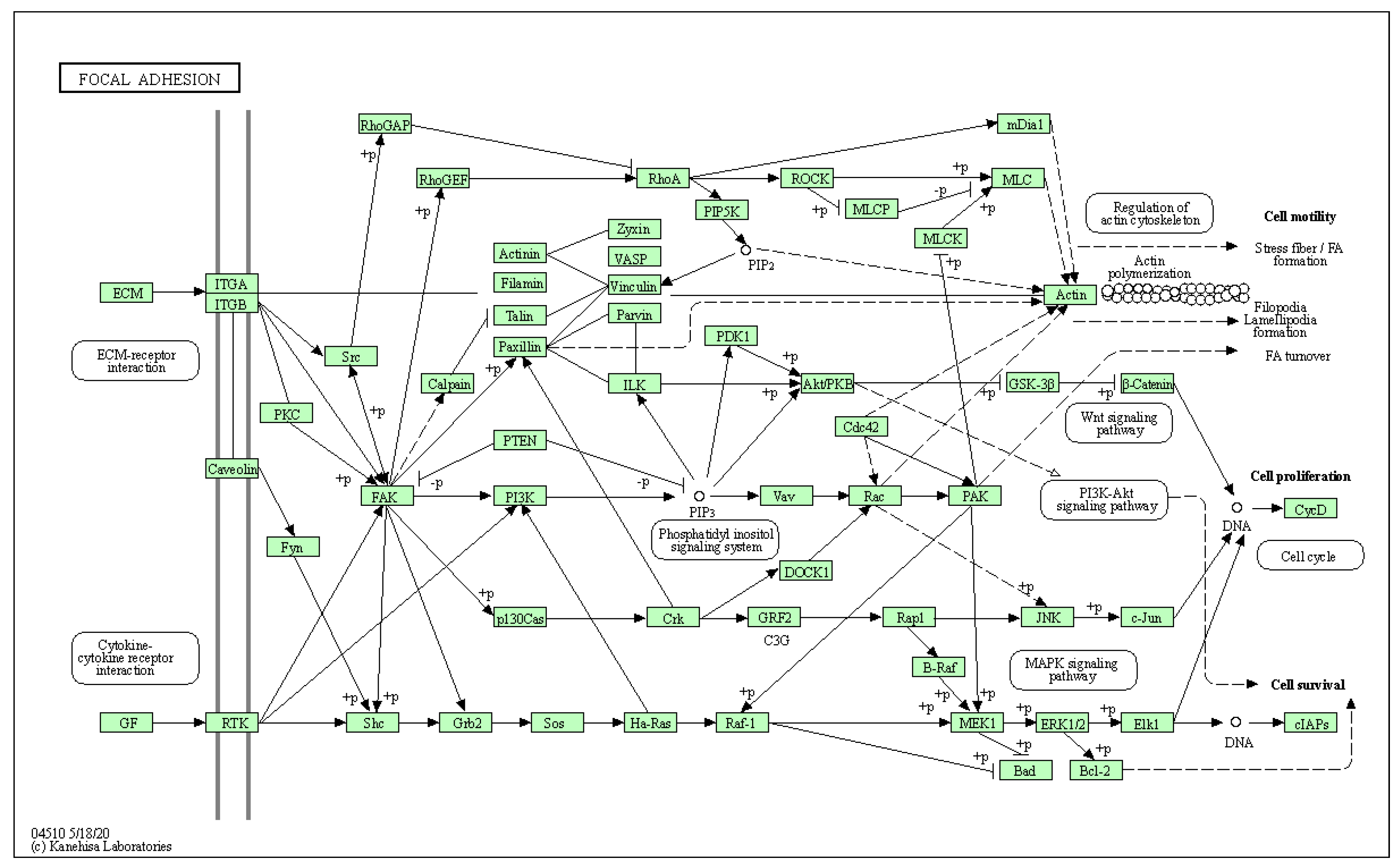 Biology 10 01214 g0a4 Biology 10 01214 g0a4