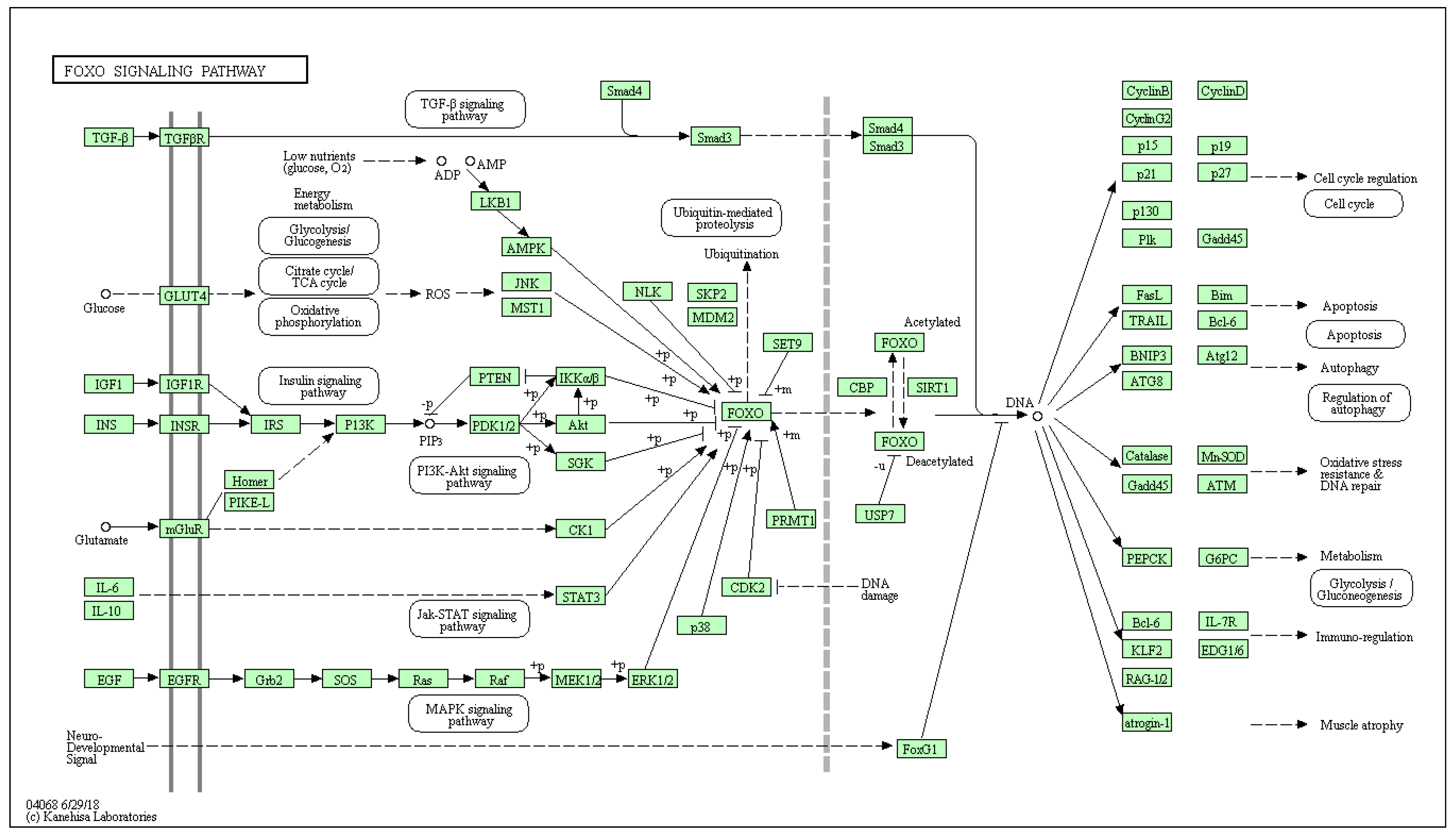Biology 10 01214 g0a6 Biology 10 01214 g0a6