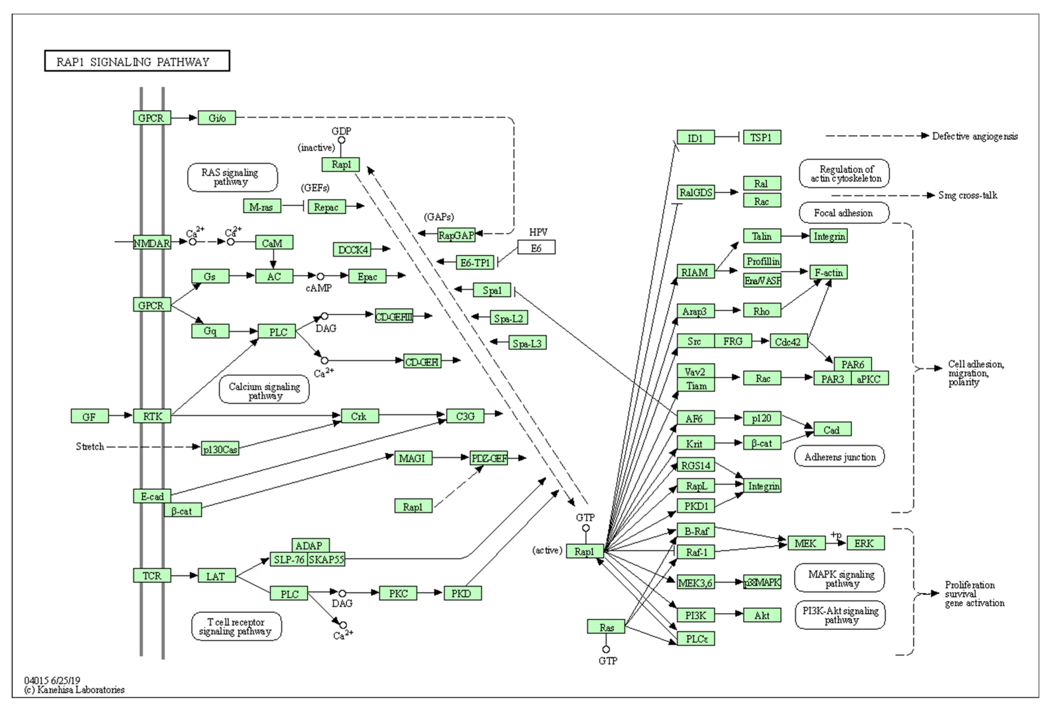 Biology 10 01214 g0a7 Biology 10 01214 g0a7