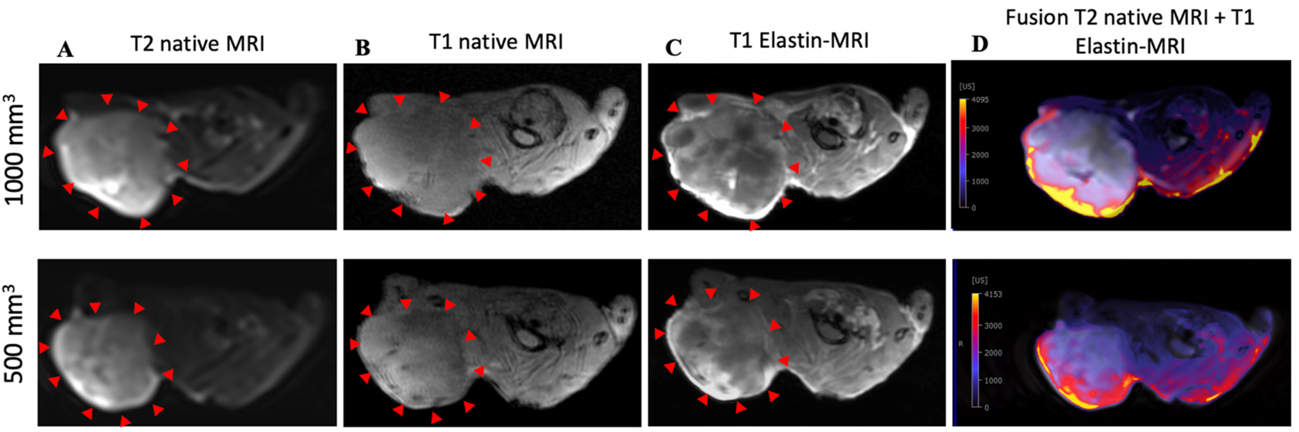 Biology 10 01217 g003 550