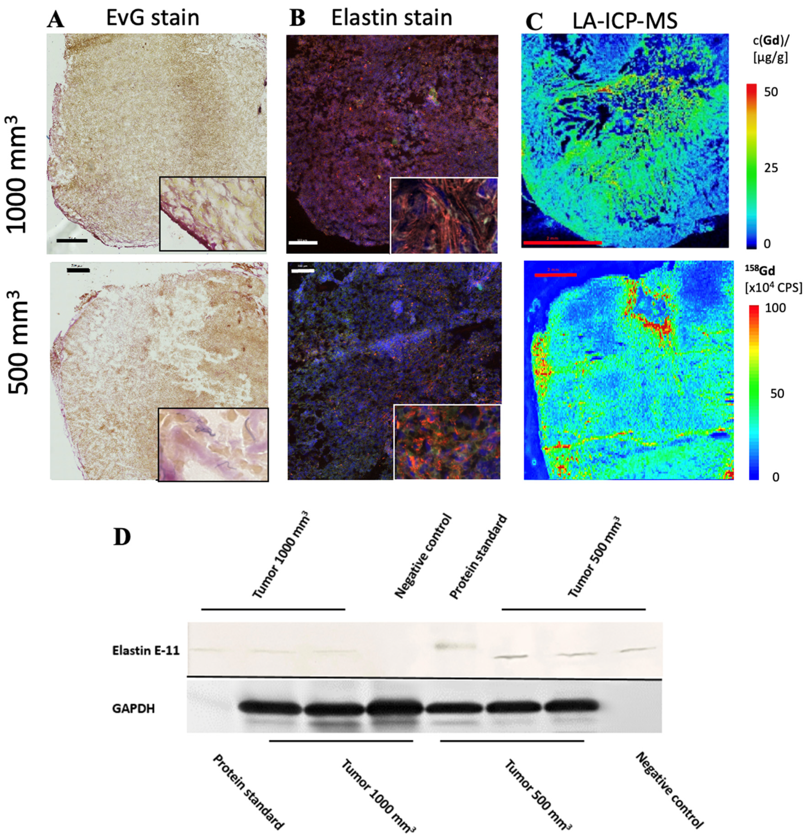 Biology 10 01217 g004 550