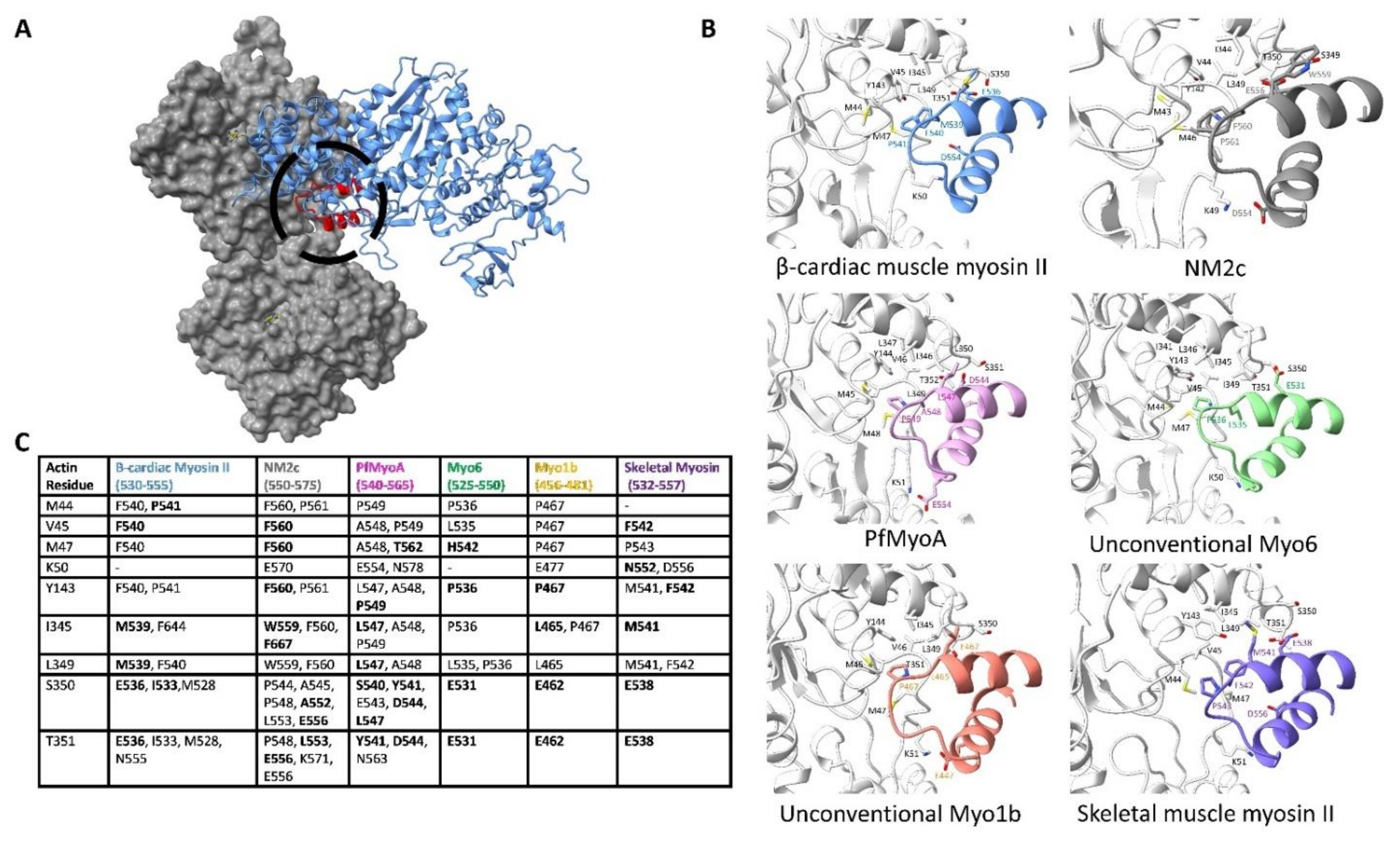 Biology 10 01221 g004 Biology 10 01221 g004