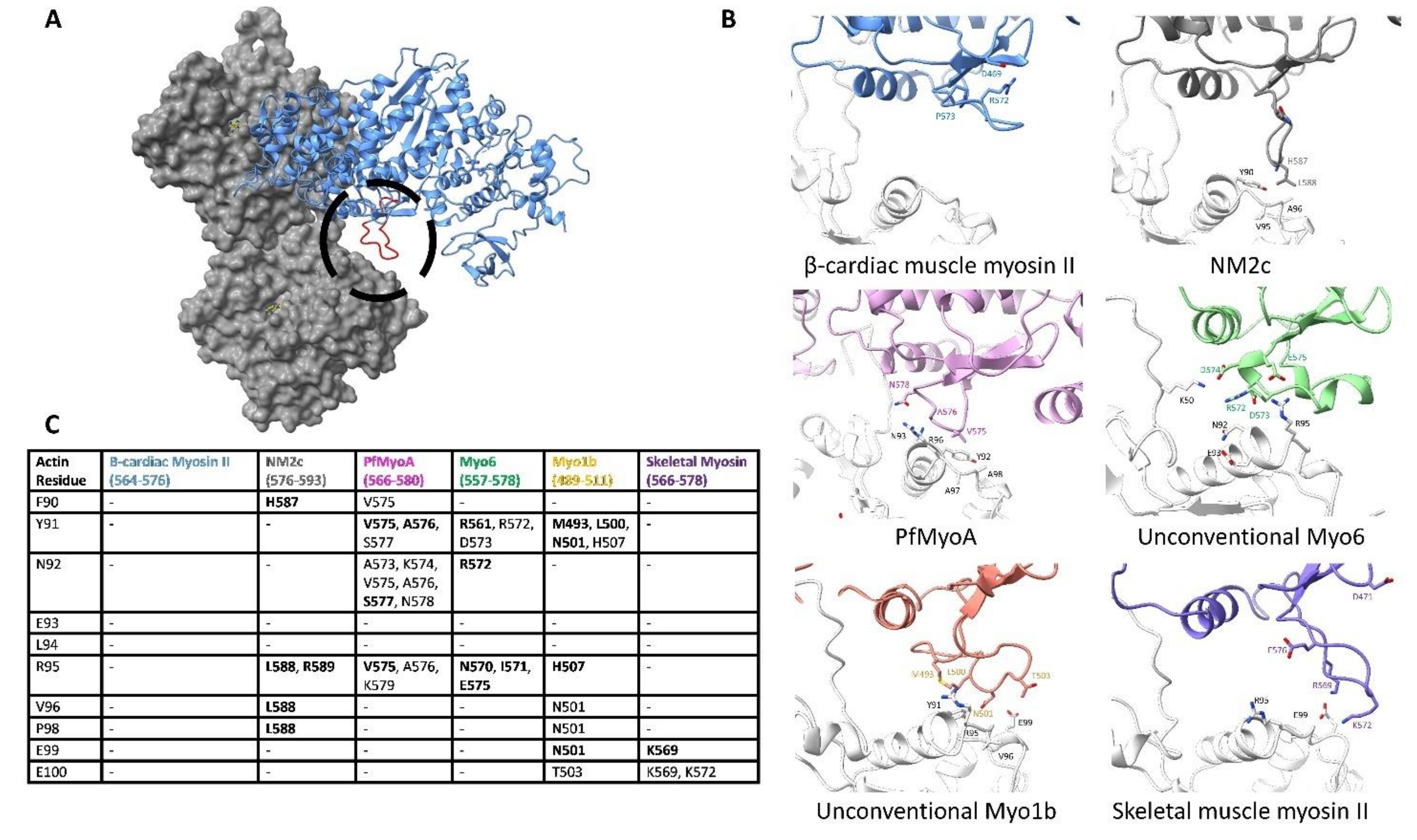 Biology 10 01221 g005 Biology 10 01221 g005