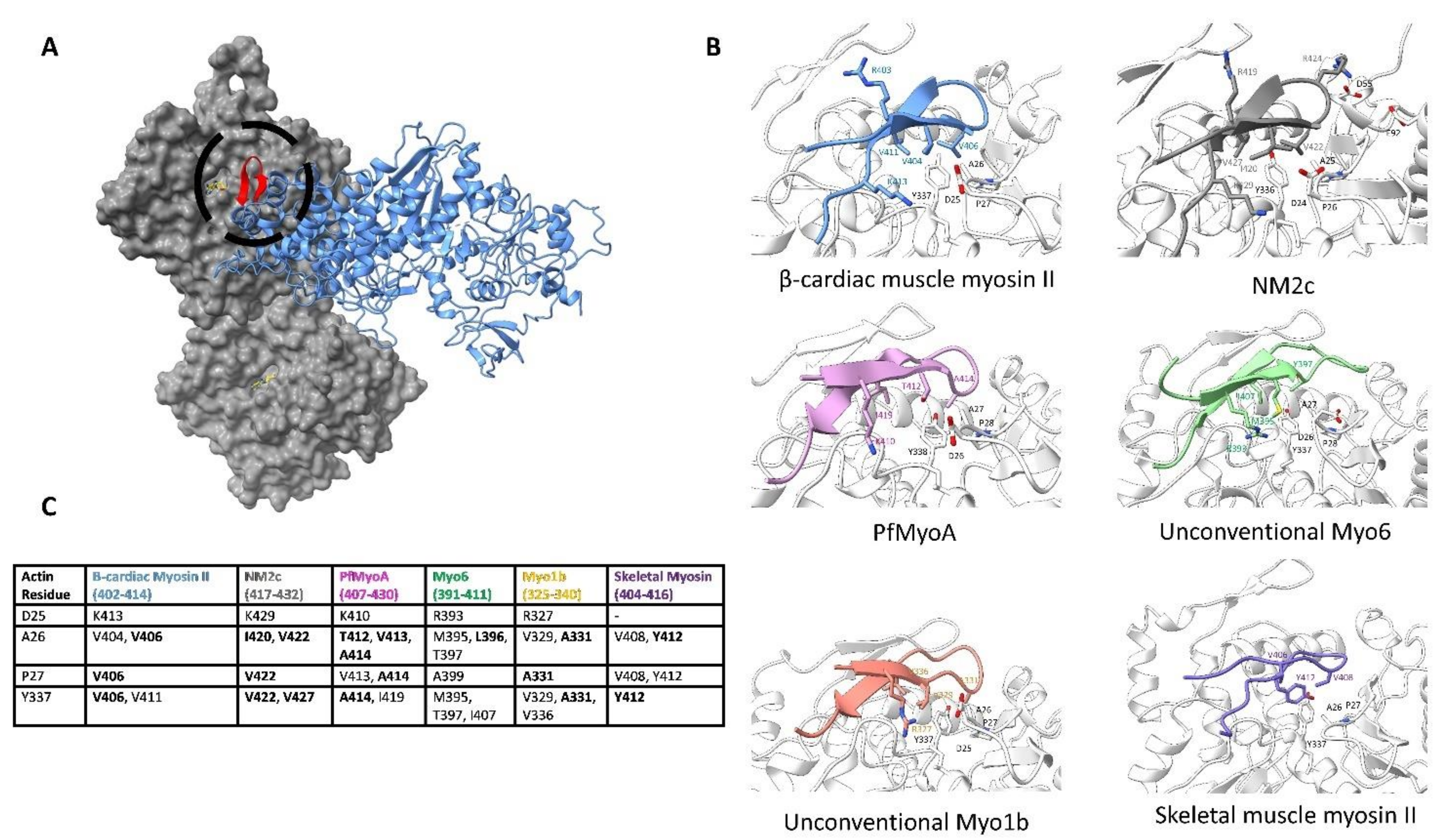 Biology 10 01221 g006 Biology 10 01221 g006