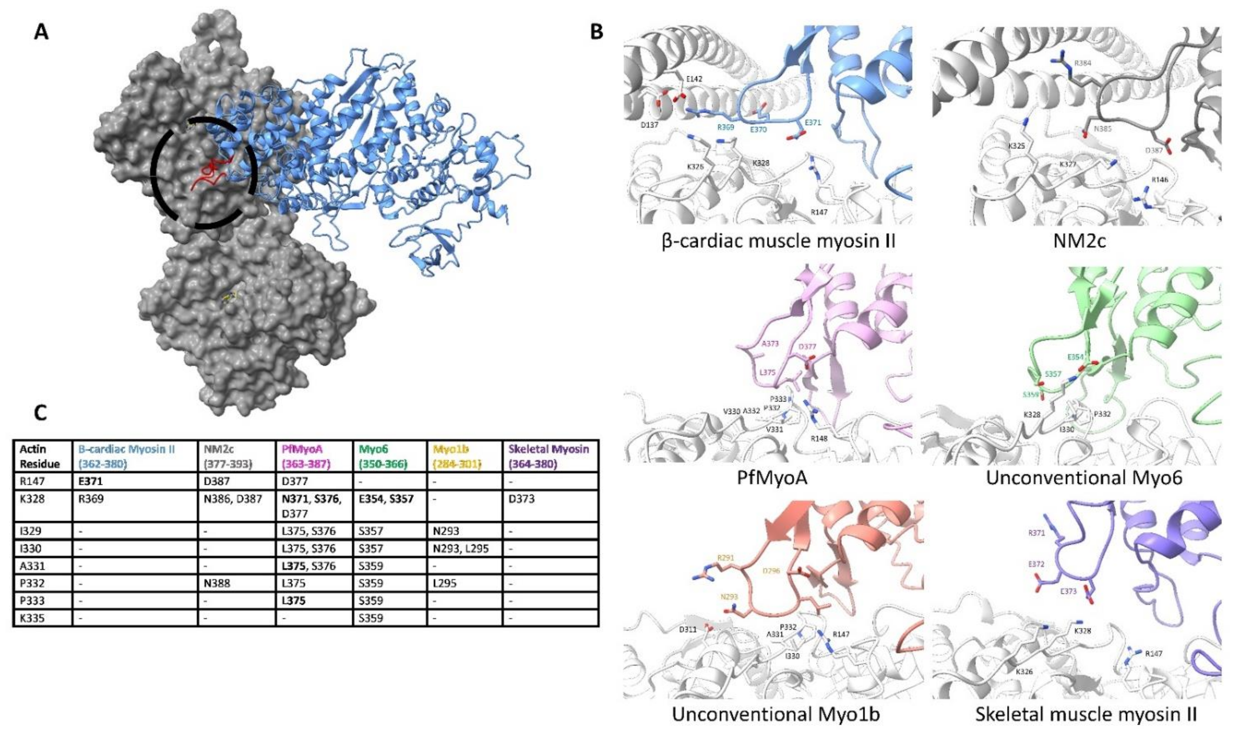 Biology 10 01221 g007 Biology 10 01221 g007