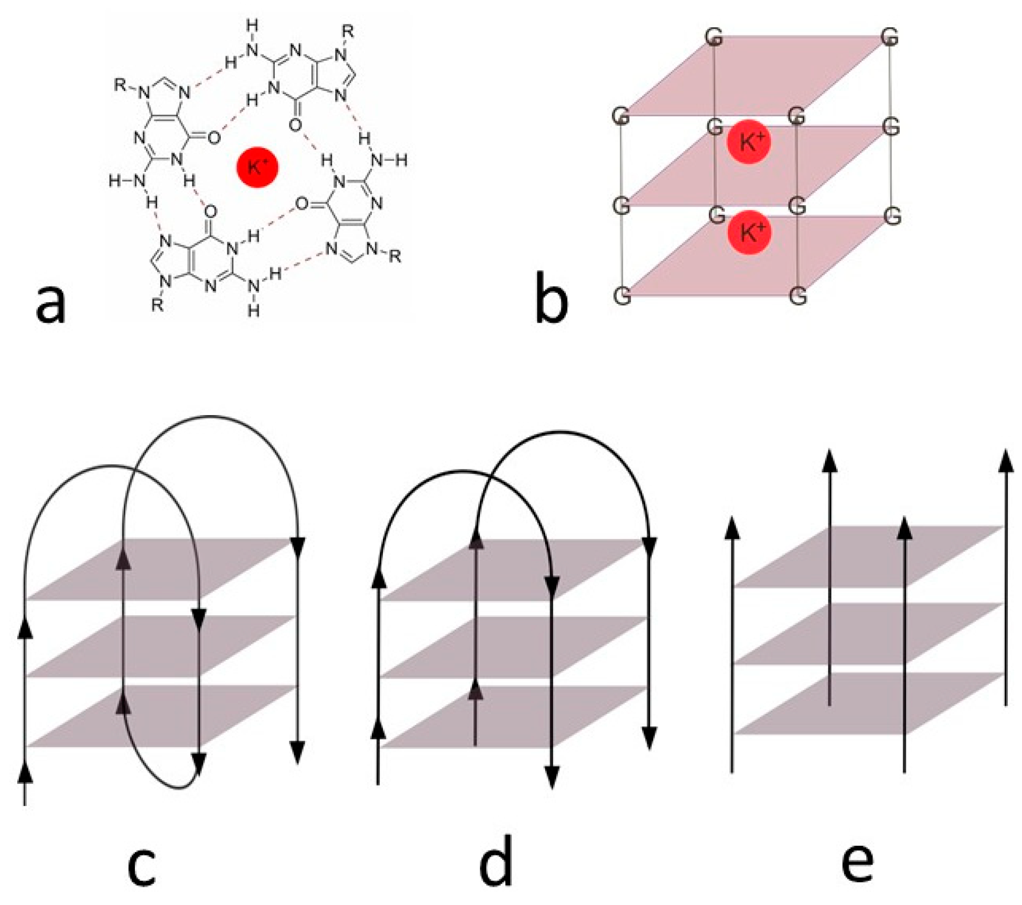 Biology 10 01225 g002