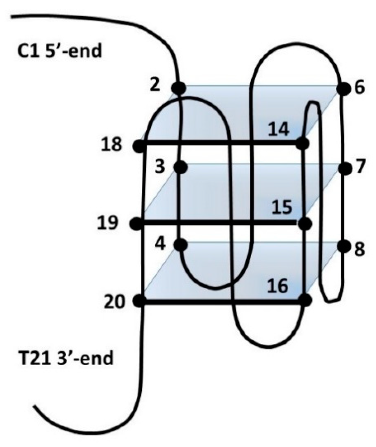Biology 10 01225 g006