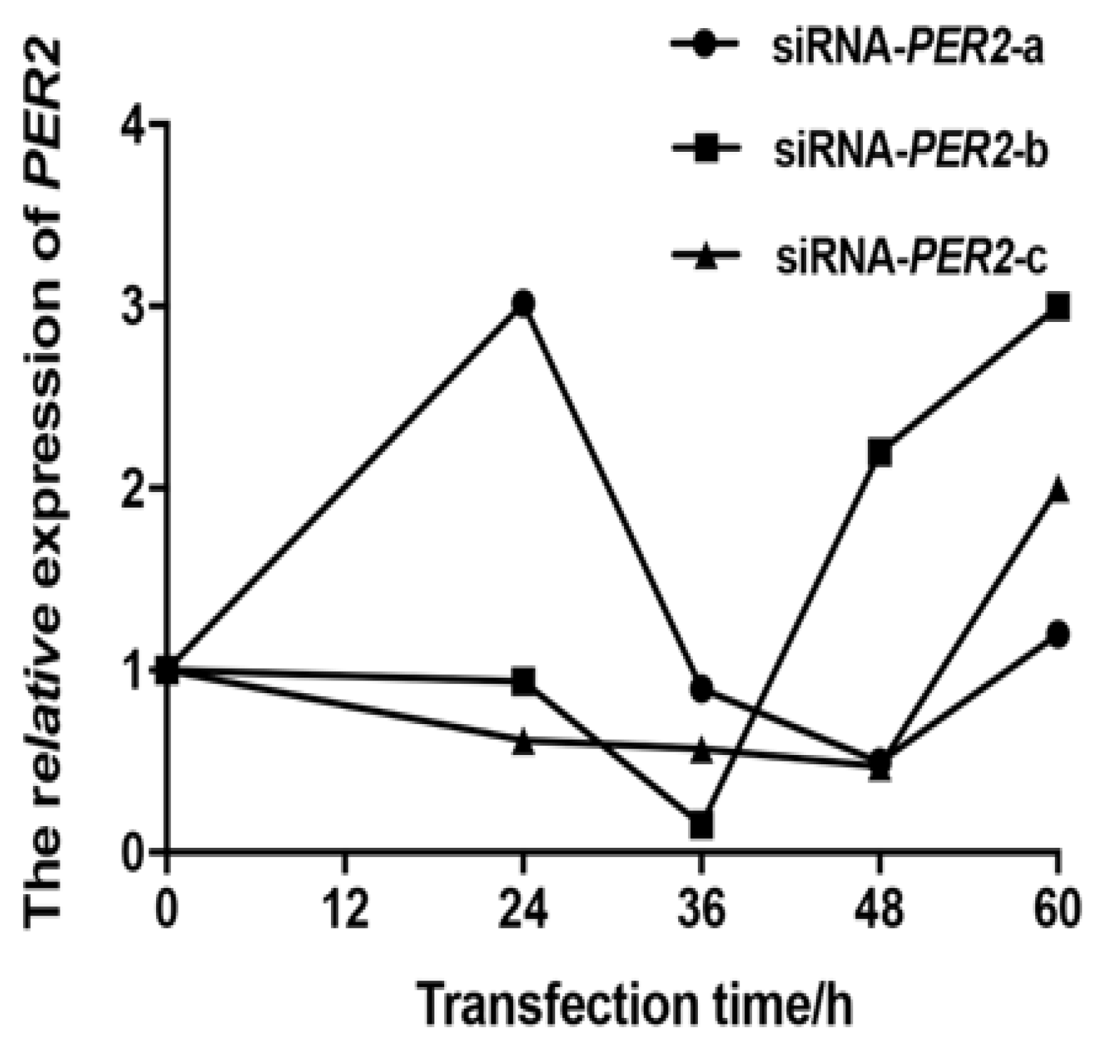Biology 10 01226 g001