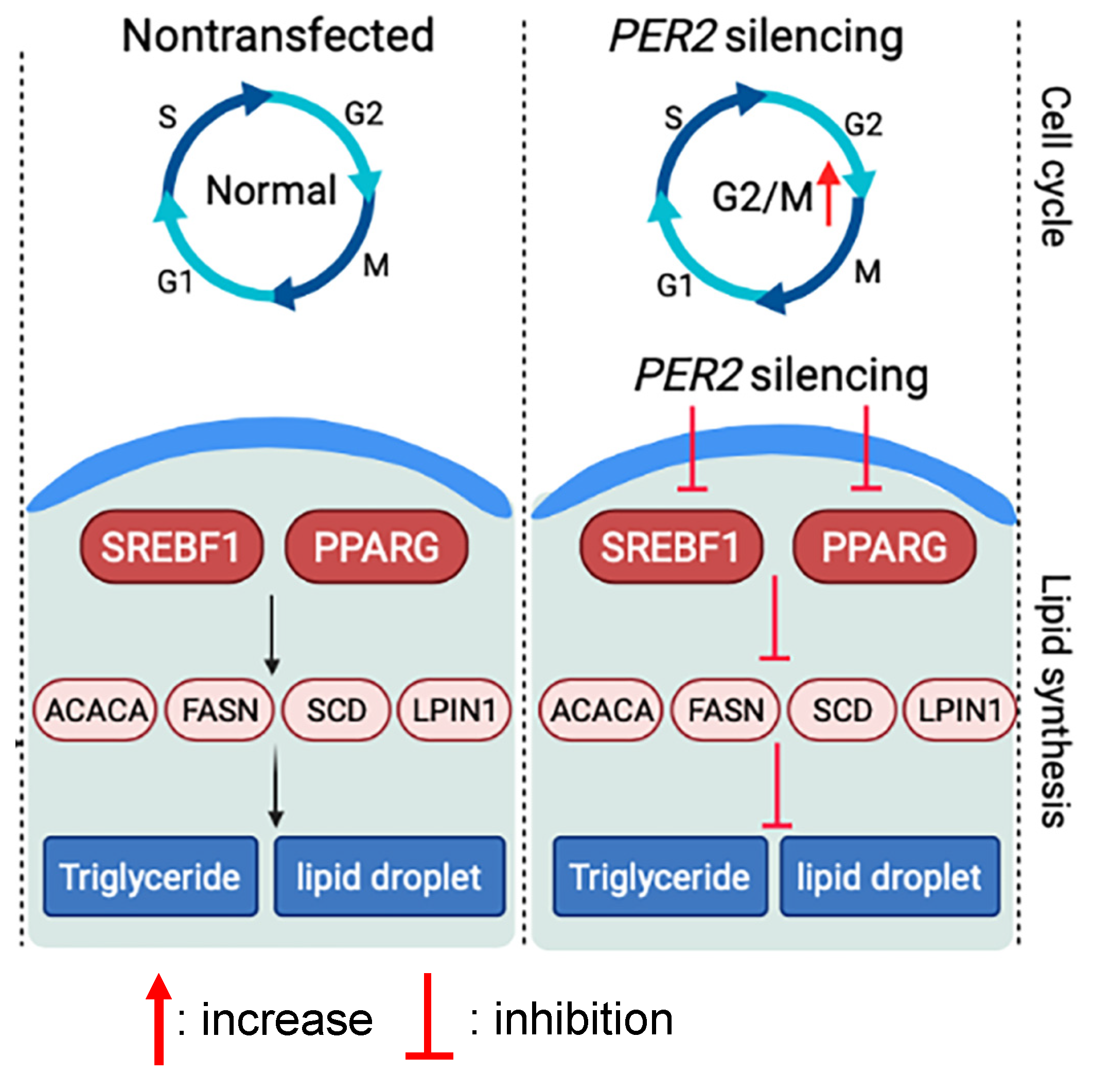 Biology 10 01226 g006